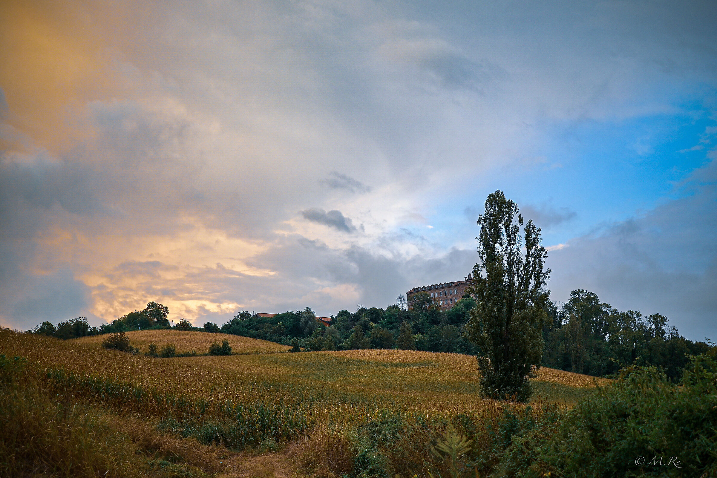 Montaldo torinese