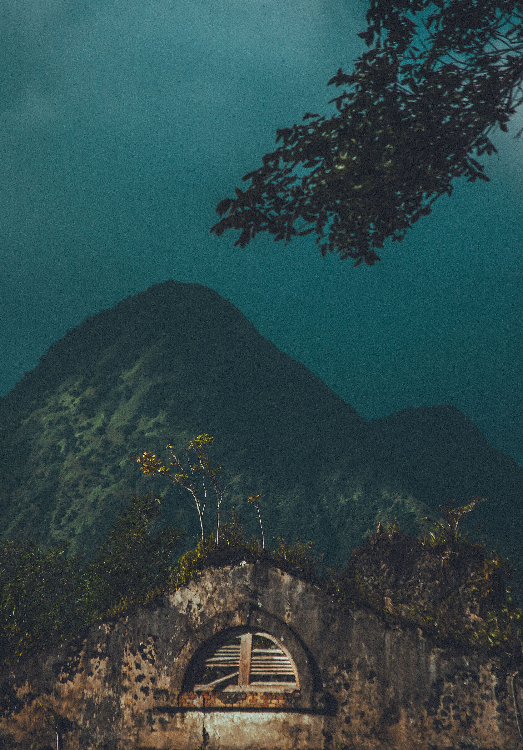 Point de vue