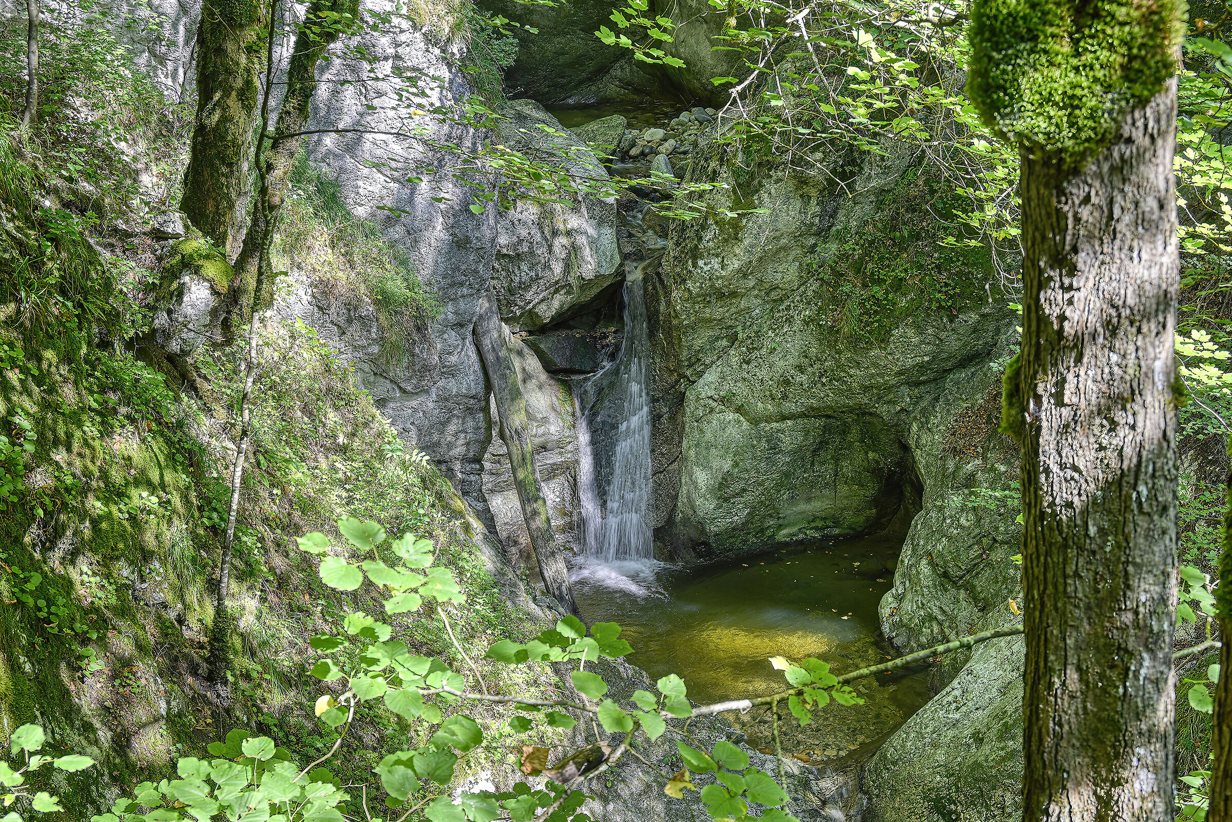 Gorges de Covatannaz, Vuiteboeuf (VD), Switzerland