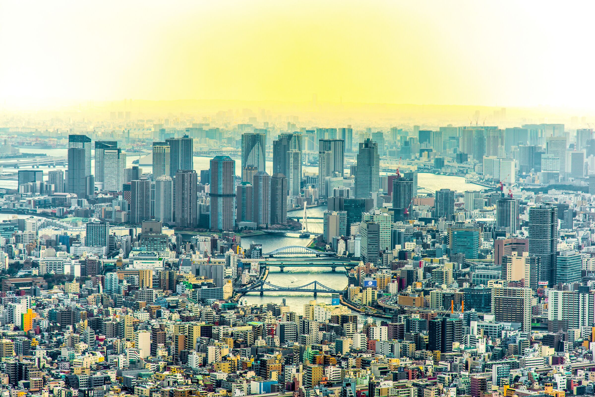 Panoramica dalla Tokyo Tower Sky Tree