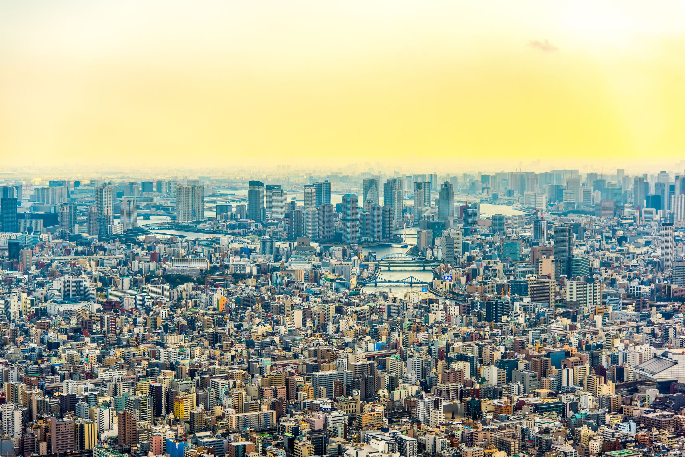 Panoramica dalla Tokyo Tower Sky Tree