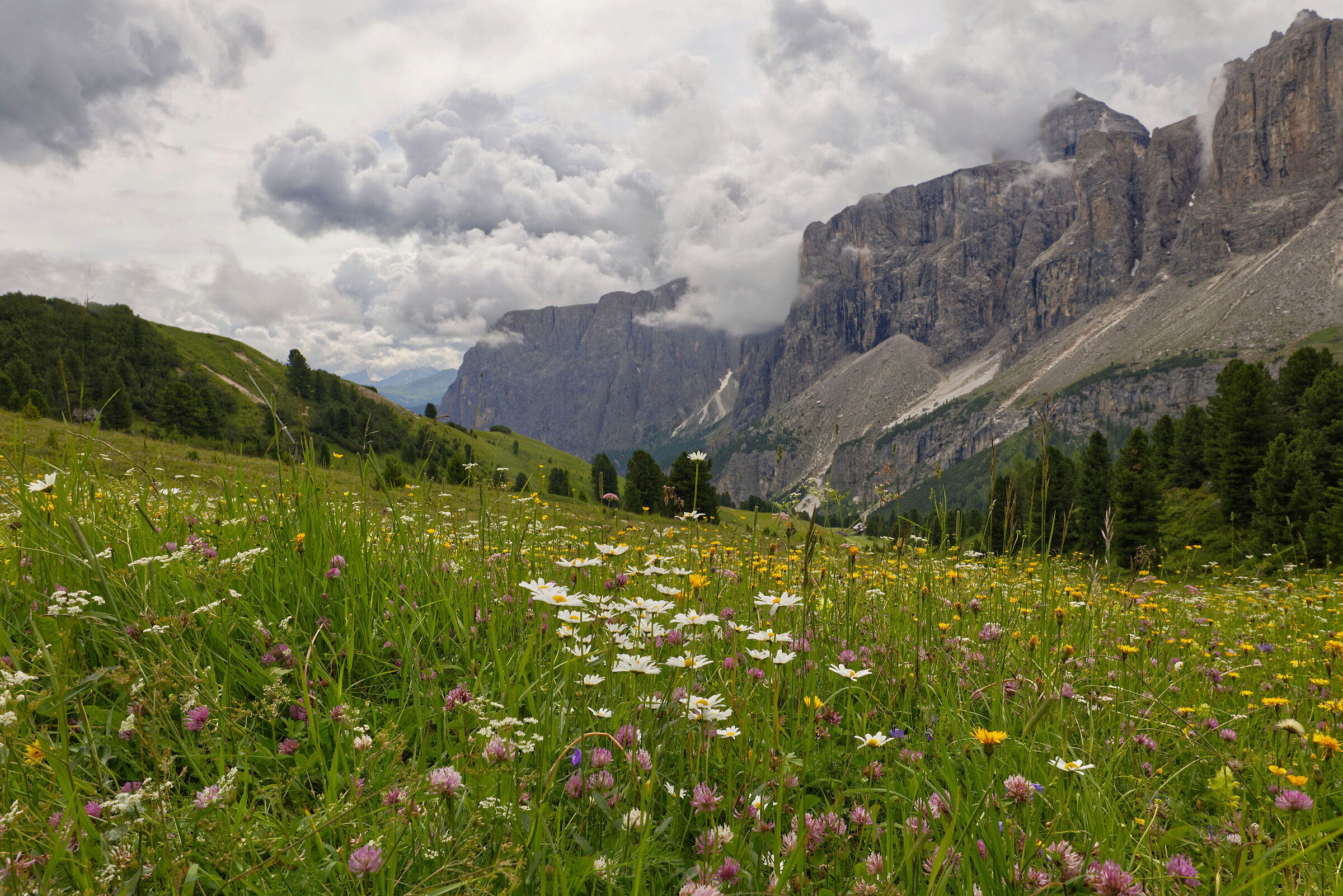 Prati di passo Gardena
