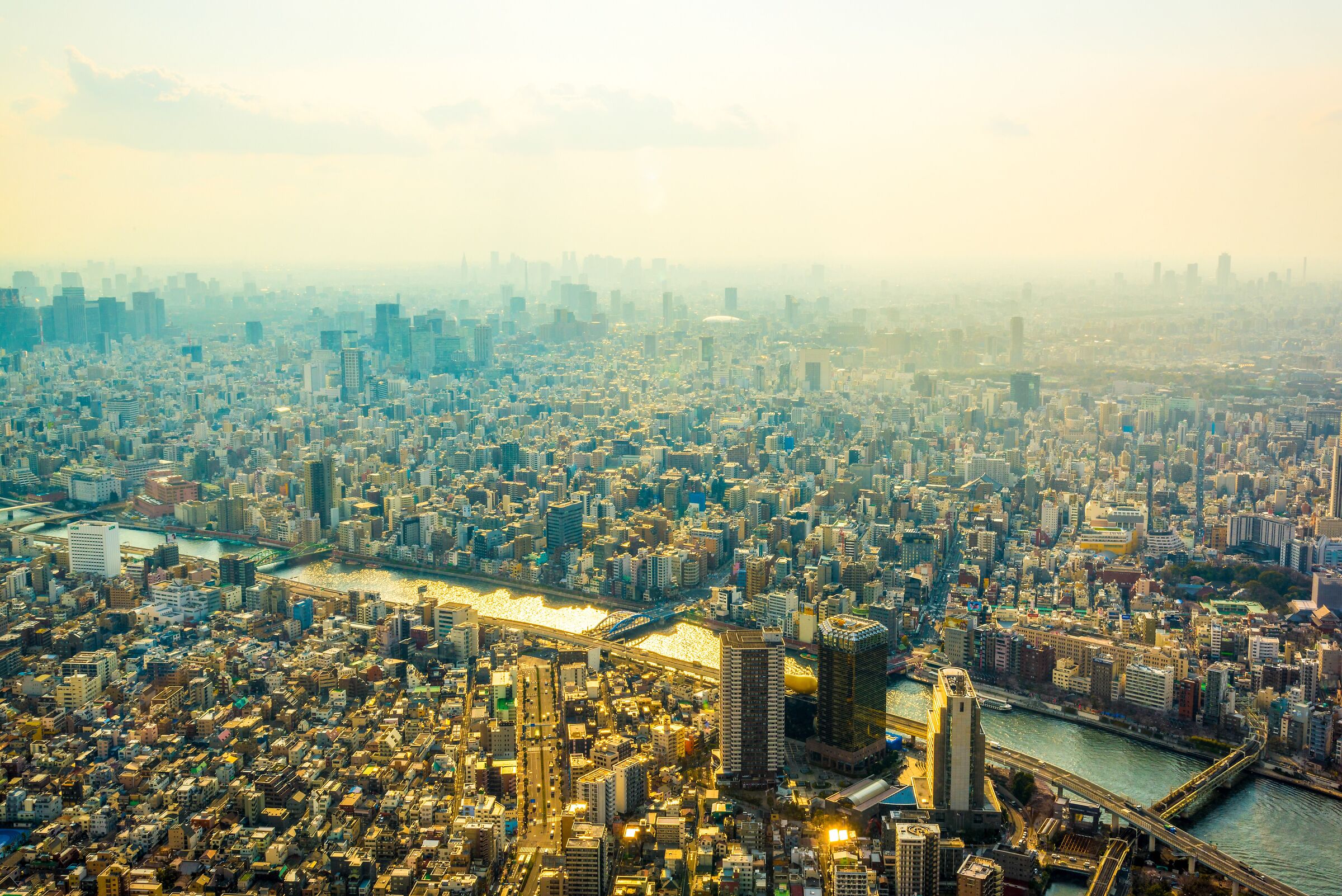 Panoramic view from the Tokyo Tower Sky Tree
