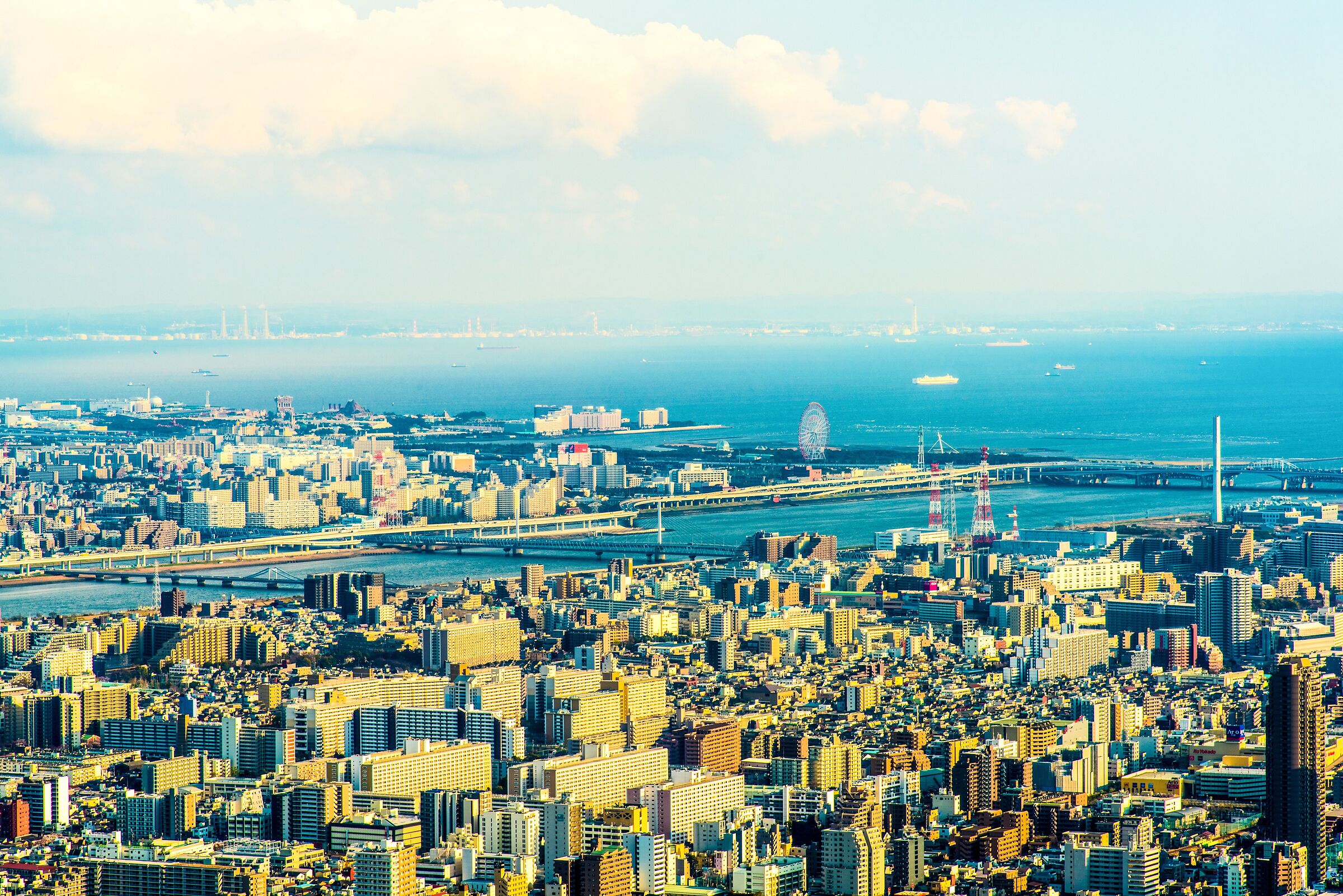 Panoramic view from the Tokyo Tower Sky Tree