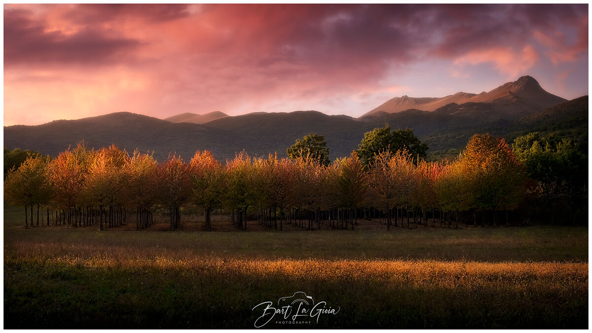 Blades of light at sunset