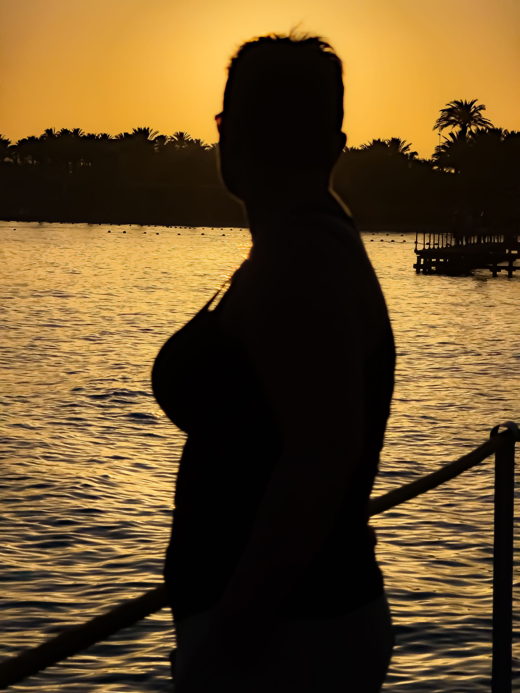 Marsa Alam Silhouette