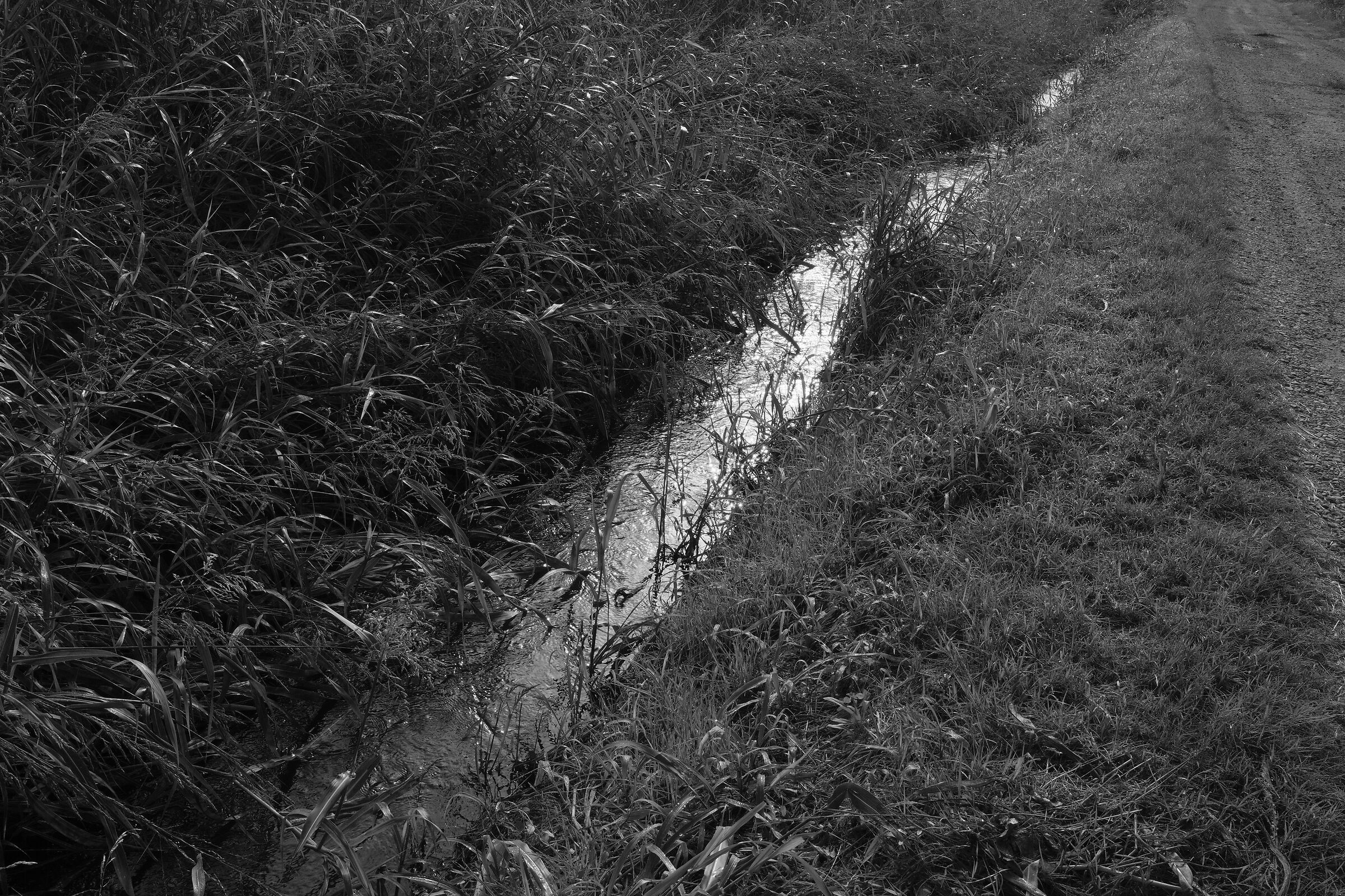 Canale di irrigazione 9