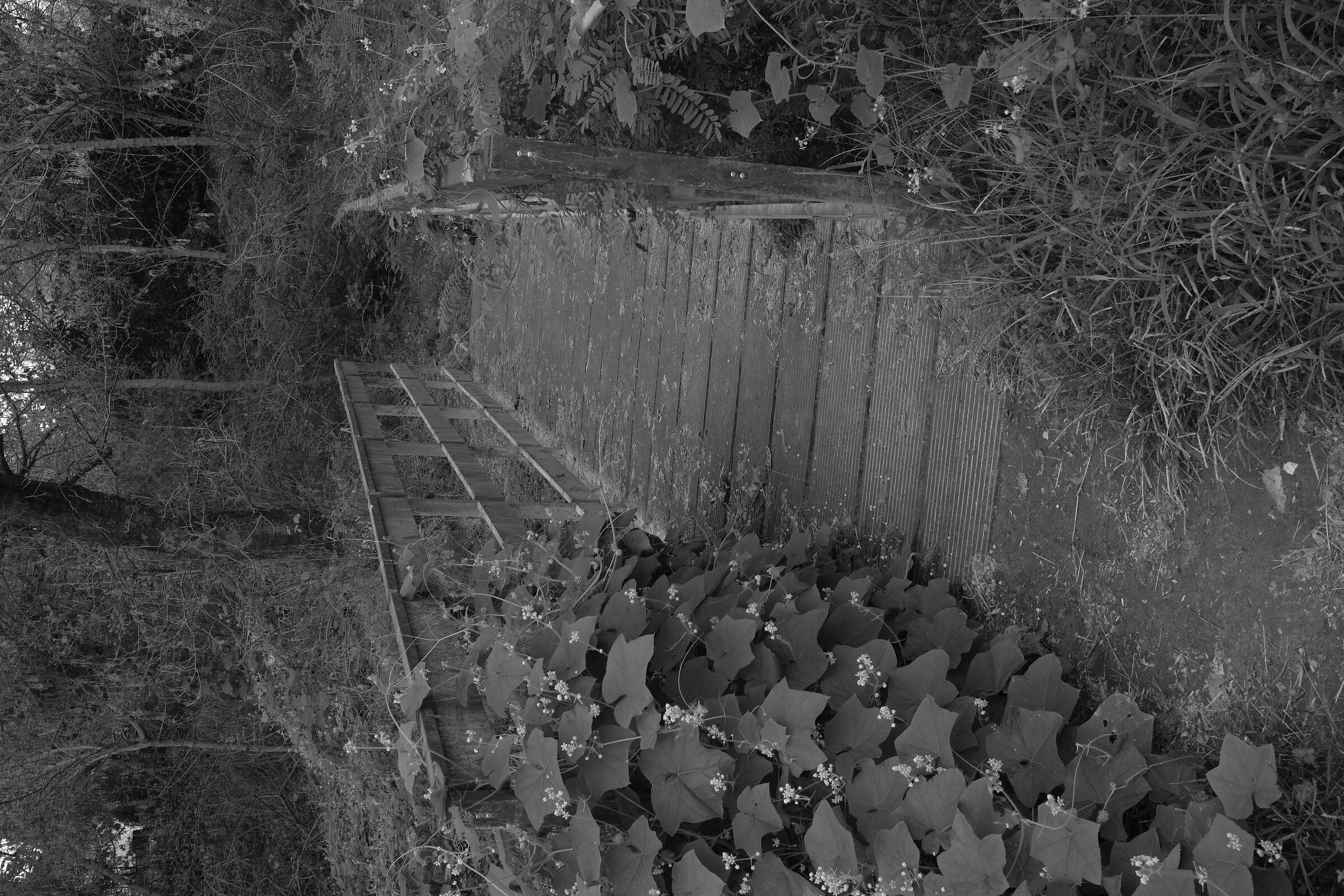 La passerella sul confine