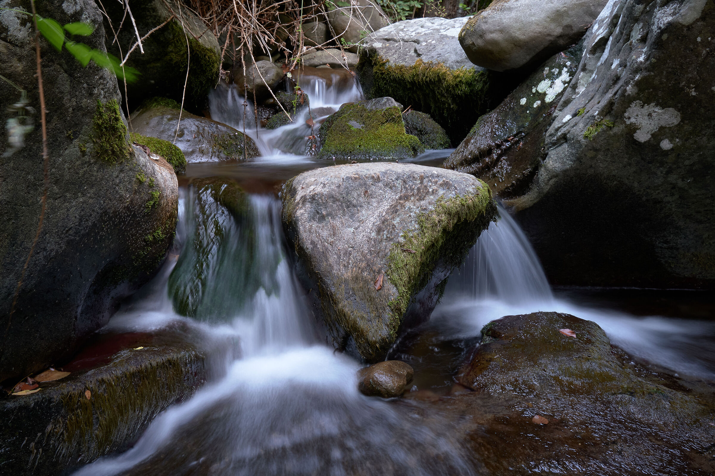 In the Ciuffenna stream