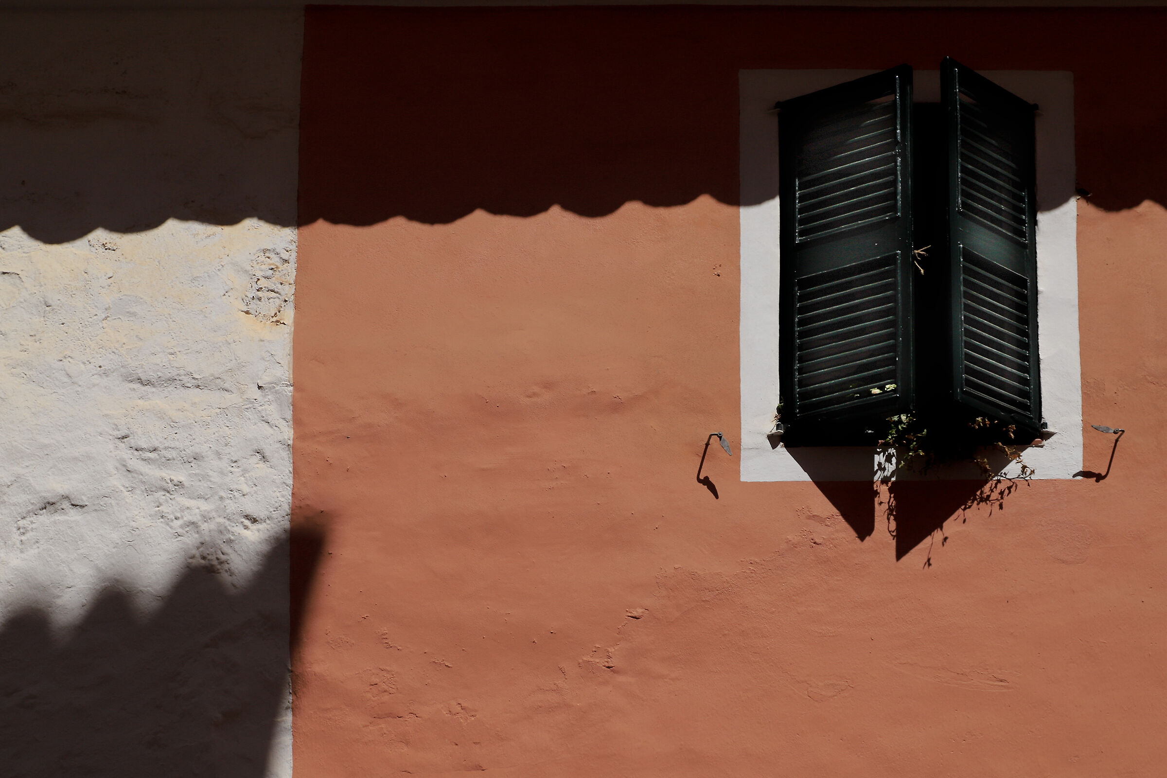 Untitled Photo
