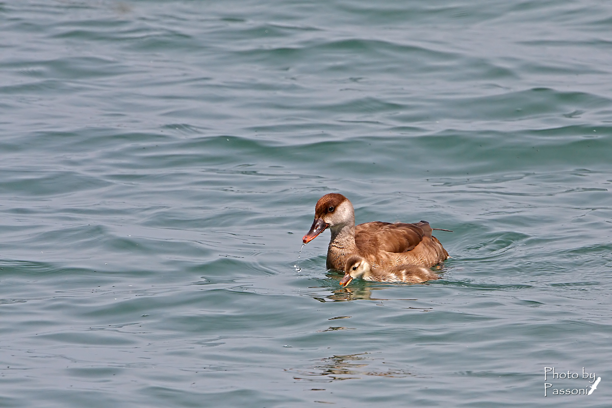 Sorry, Mom you do so?