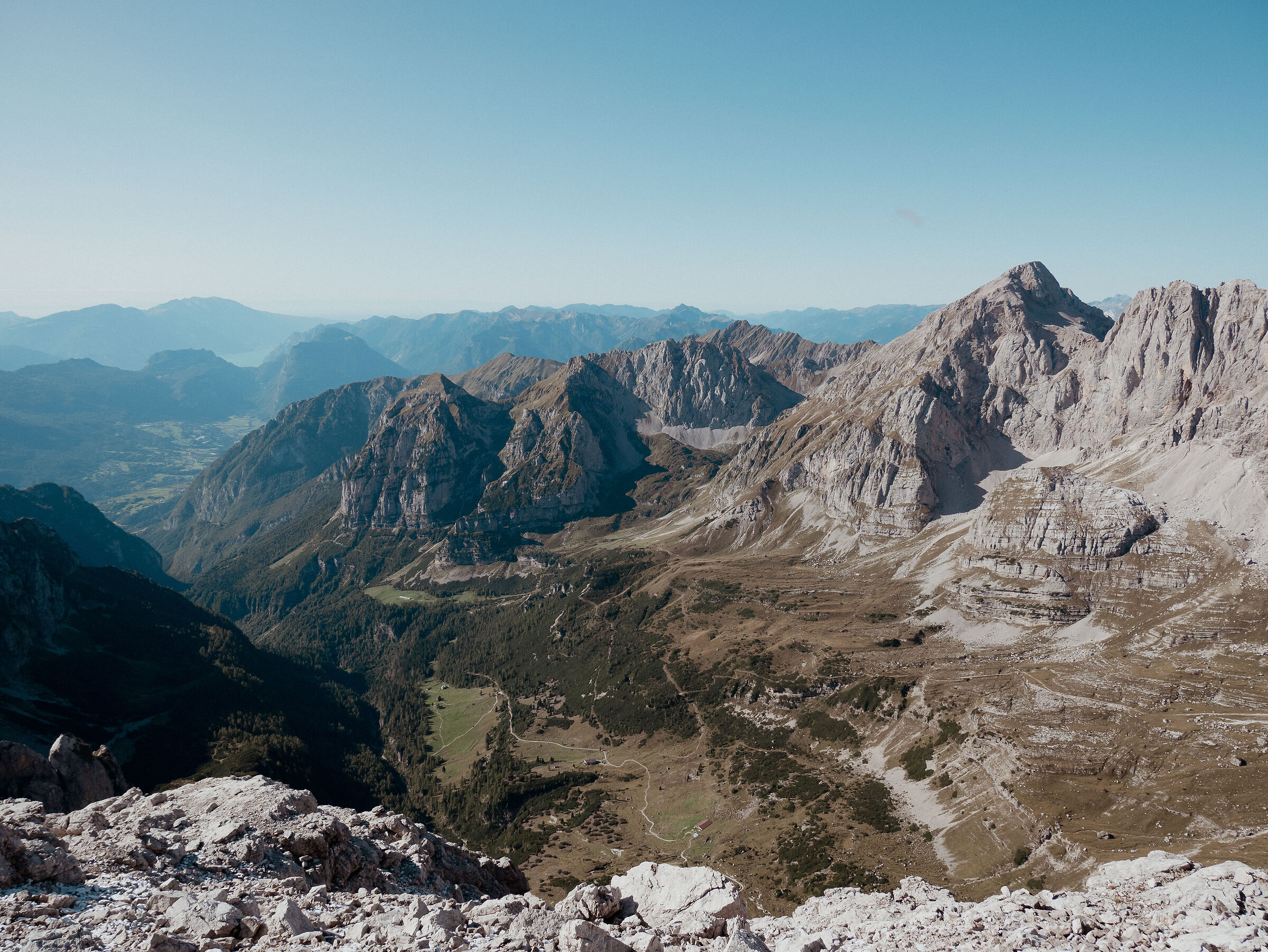 da cima ceda