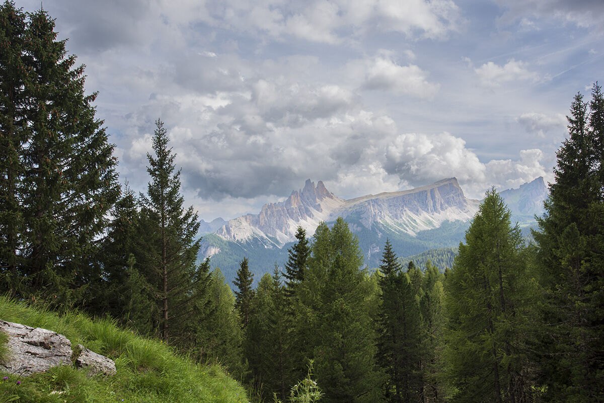 Cortina_2024
