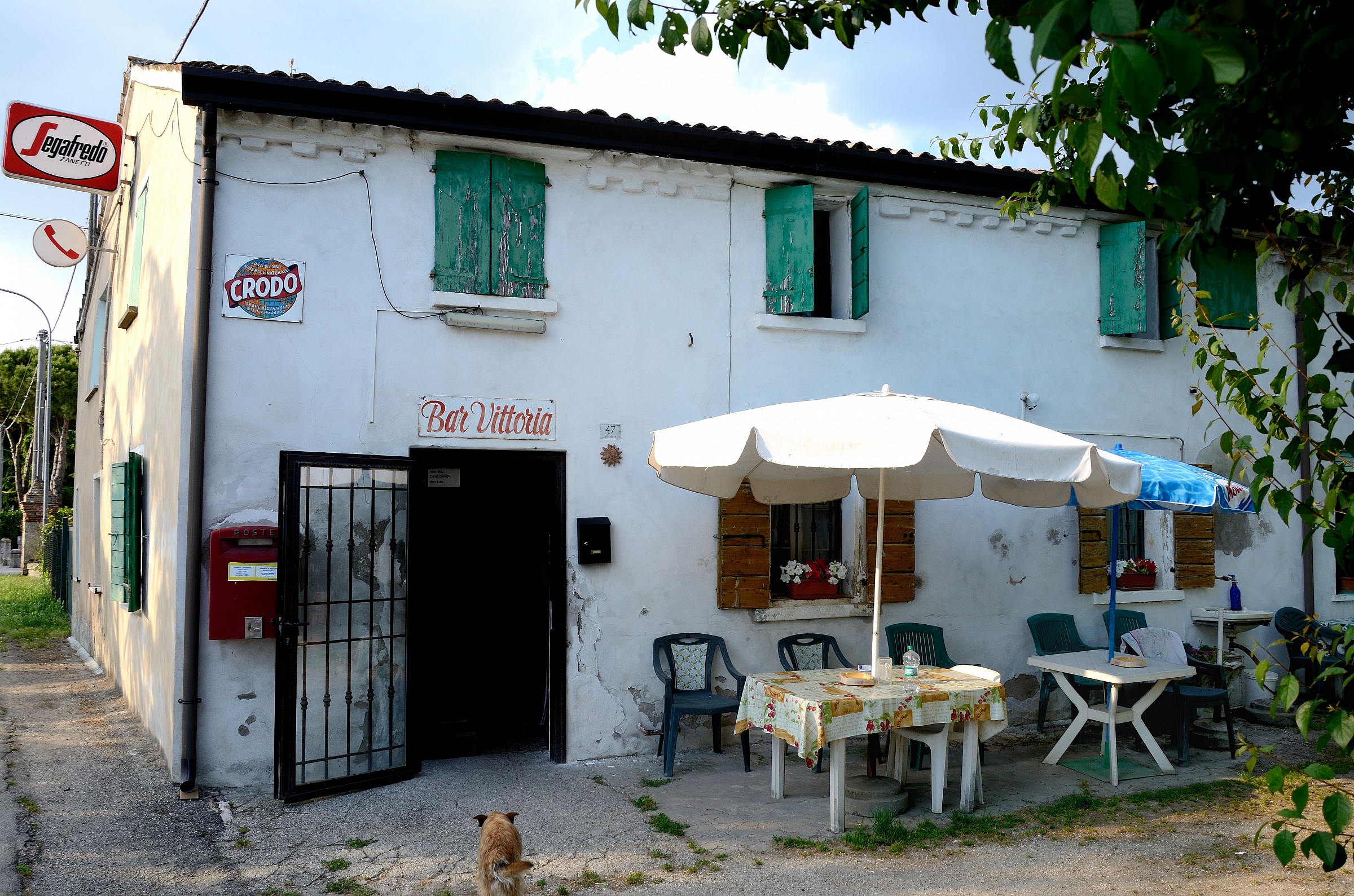 Selva di Barberry (ro) - Bar Vittoria