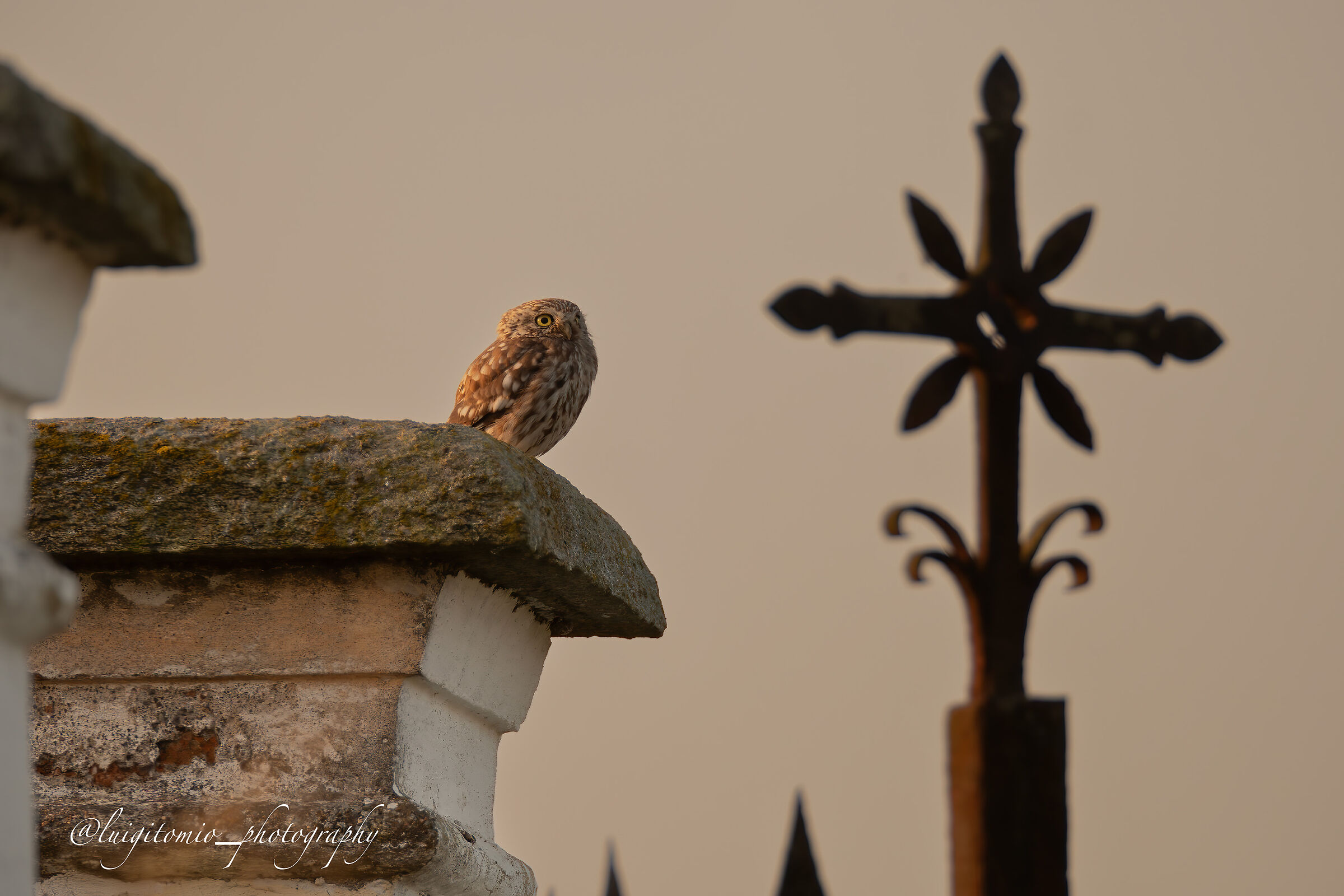 Faith at dusk.