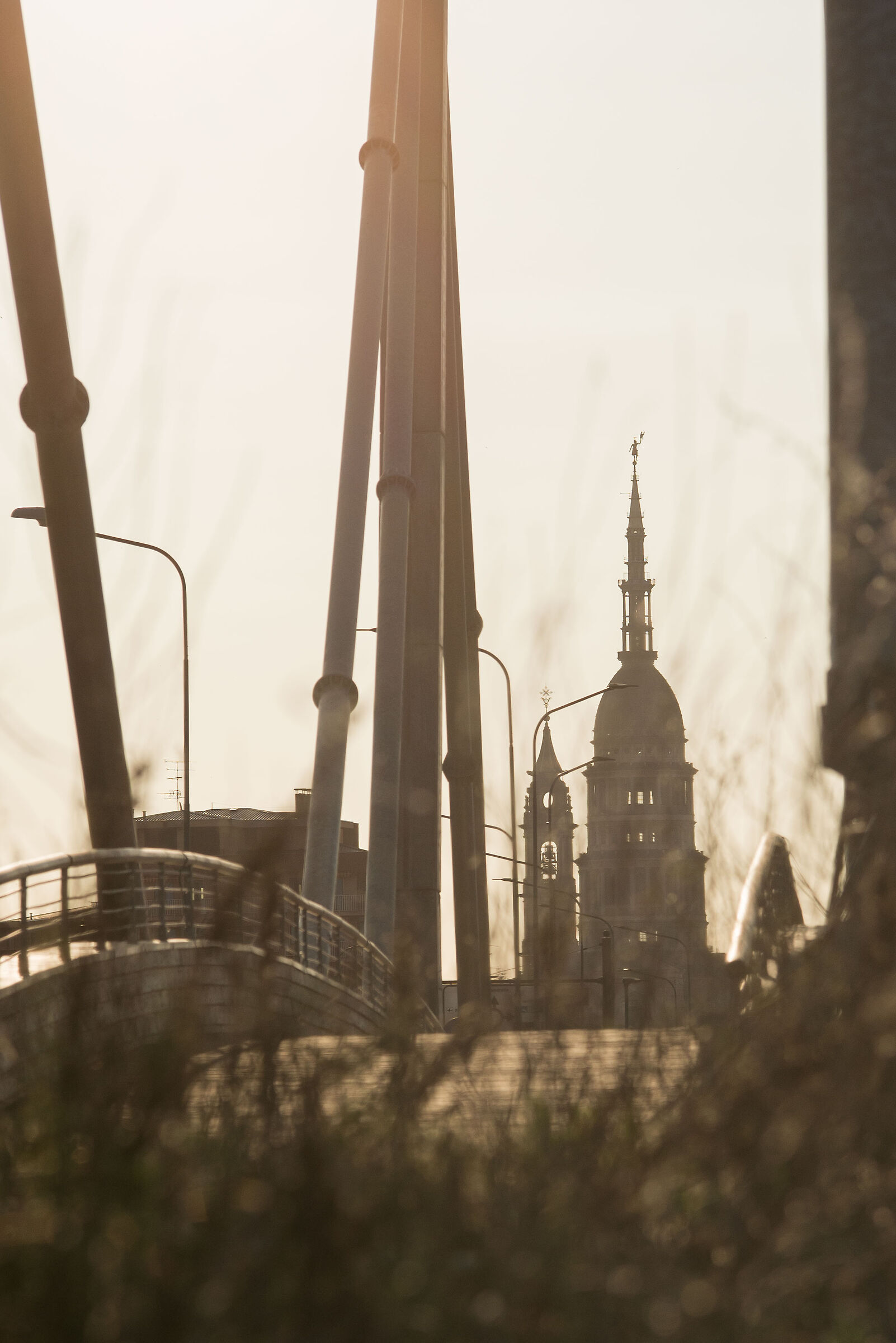 Novara