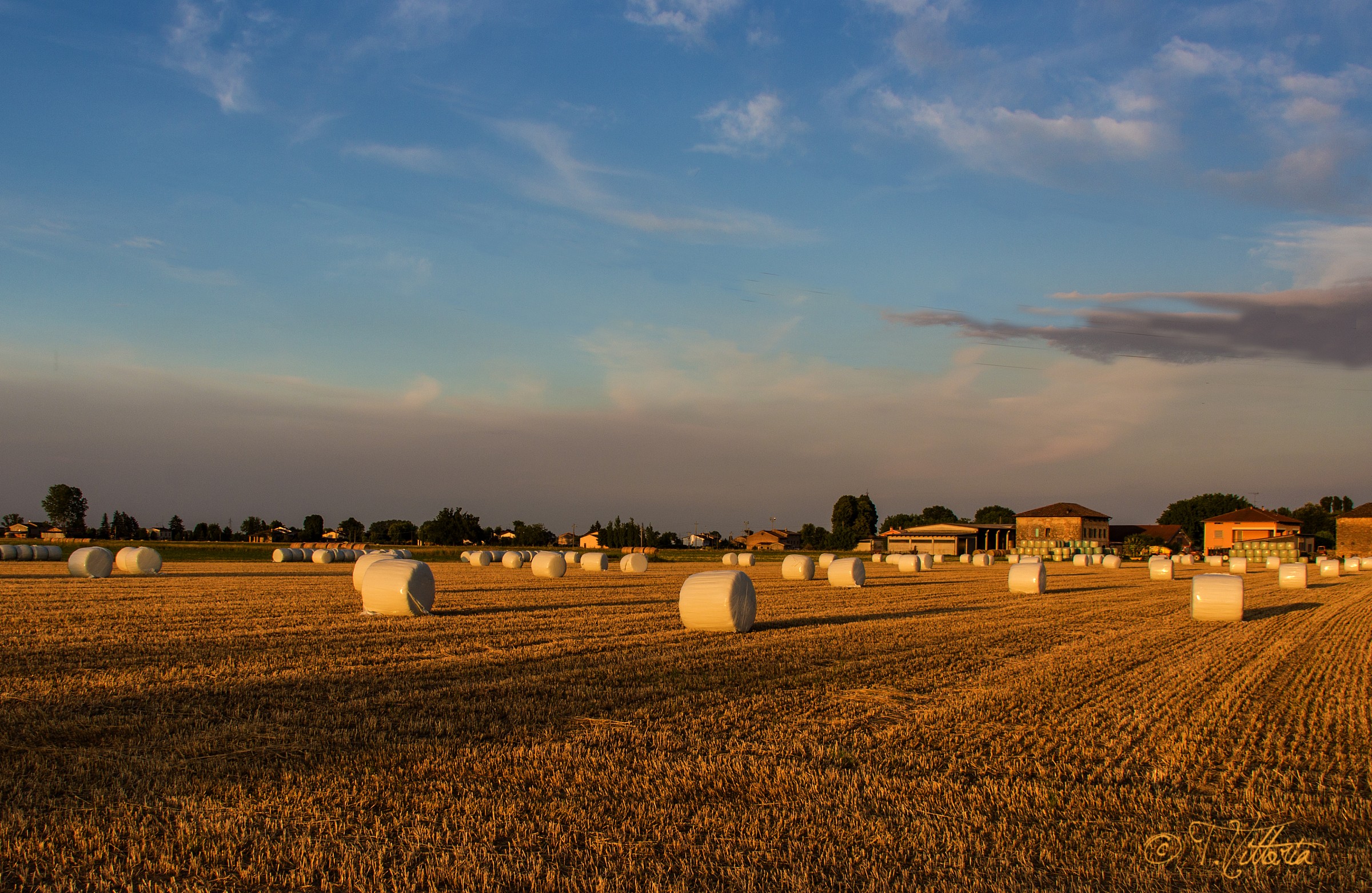 Bales of hay