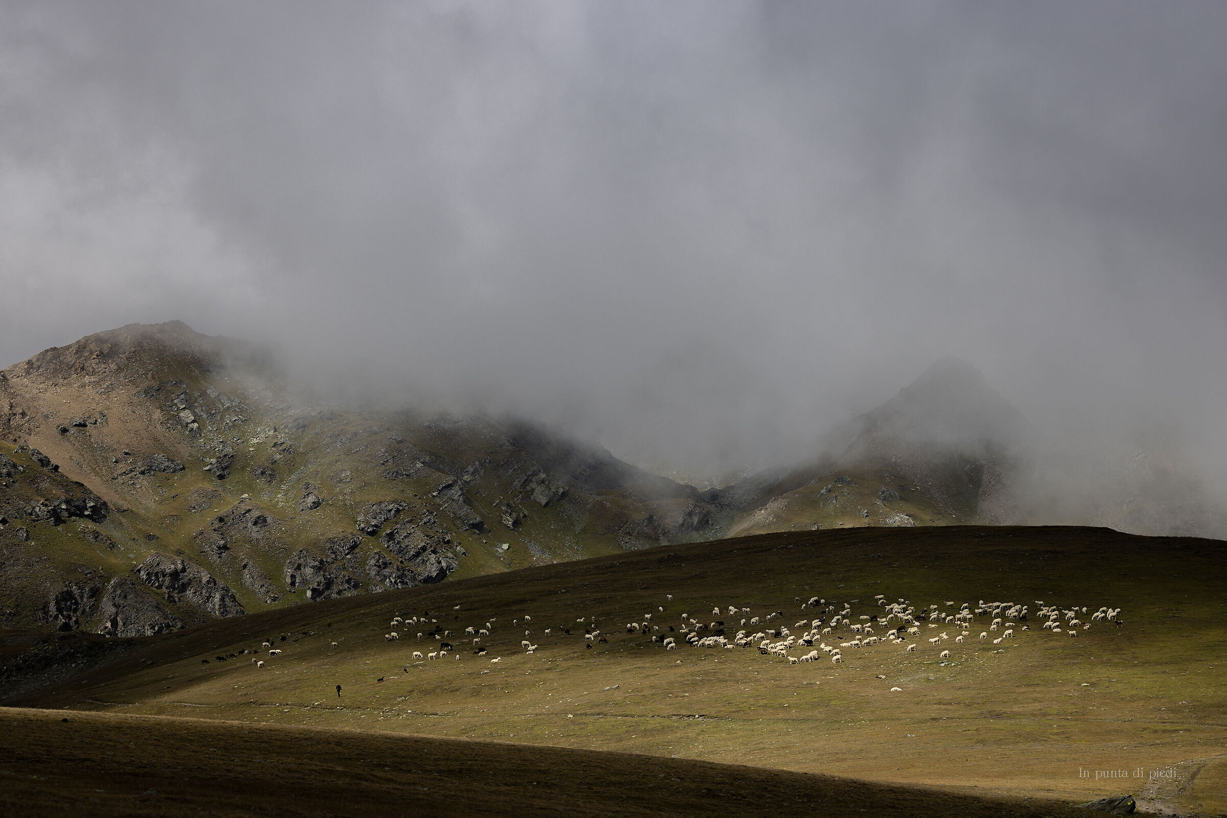 Mother Earth - the shepherd and his sheep...