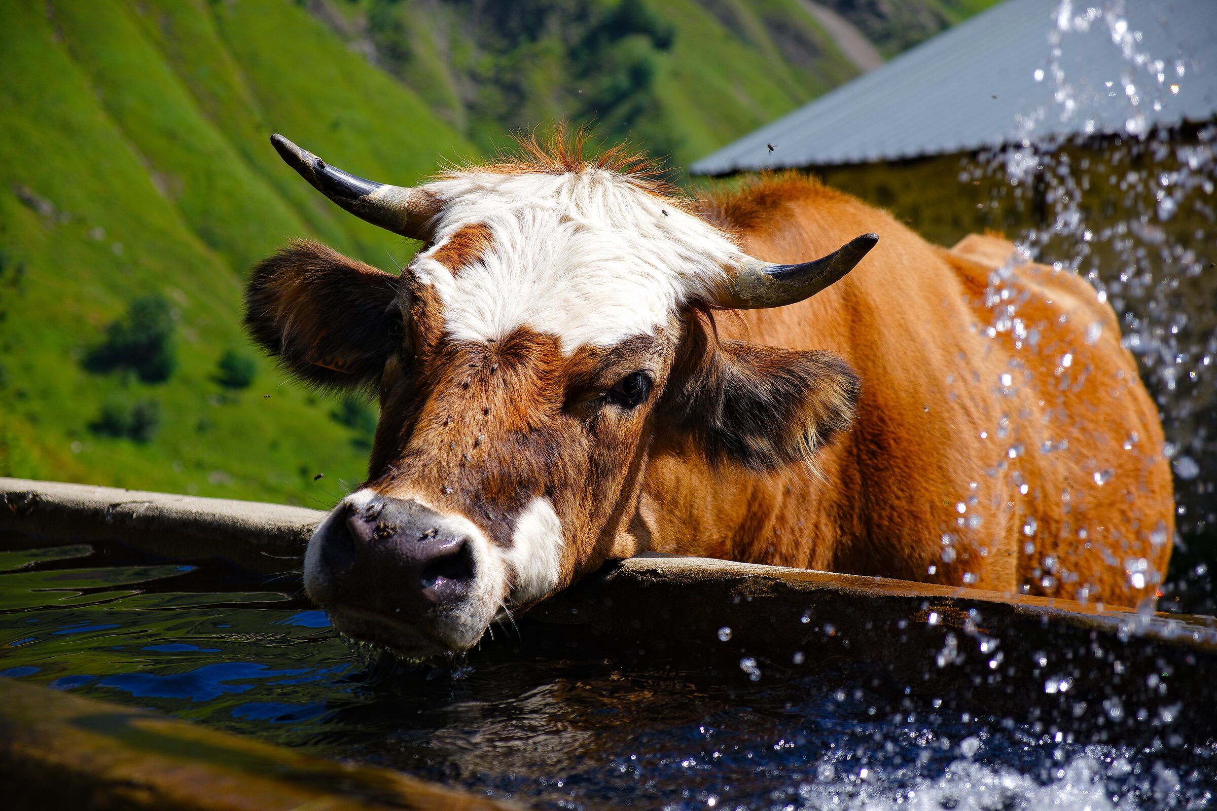 Natura in Haute Savoie