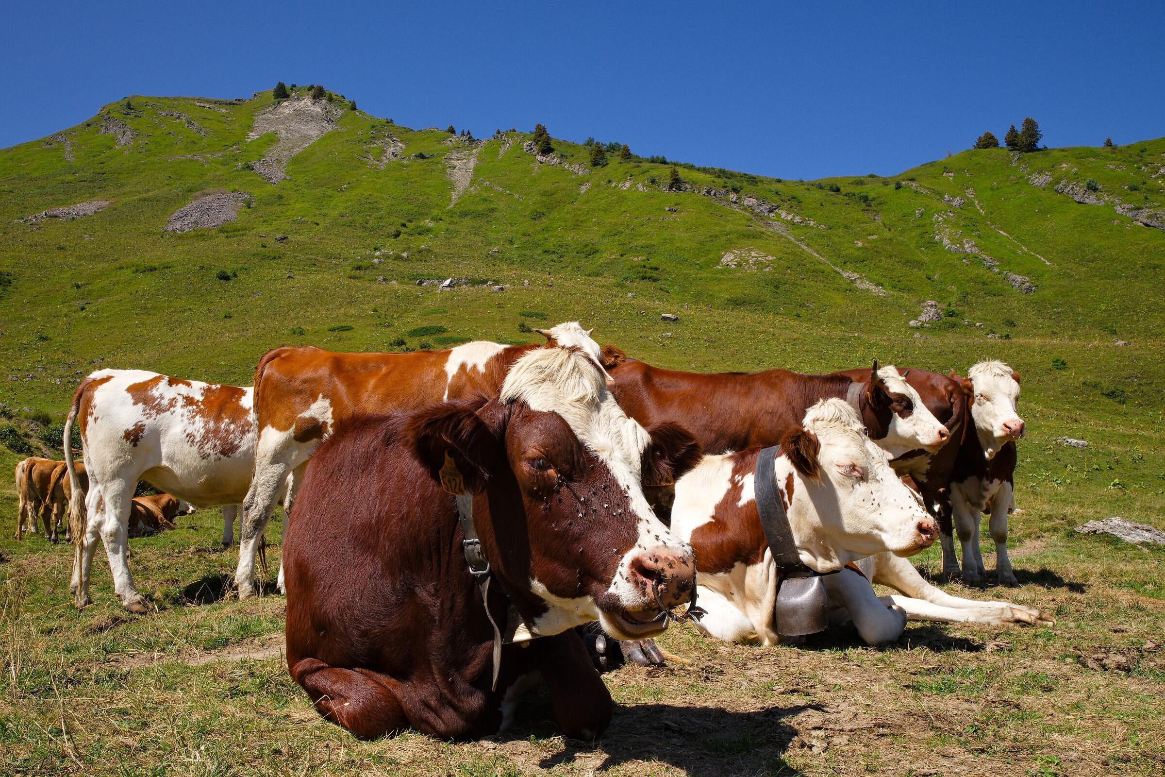 Natura in Haute Savoie