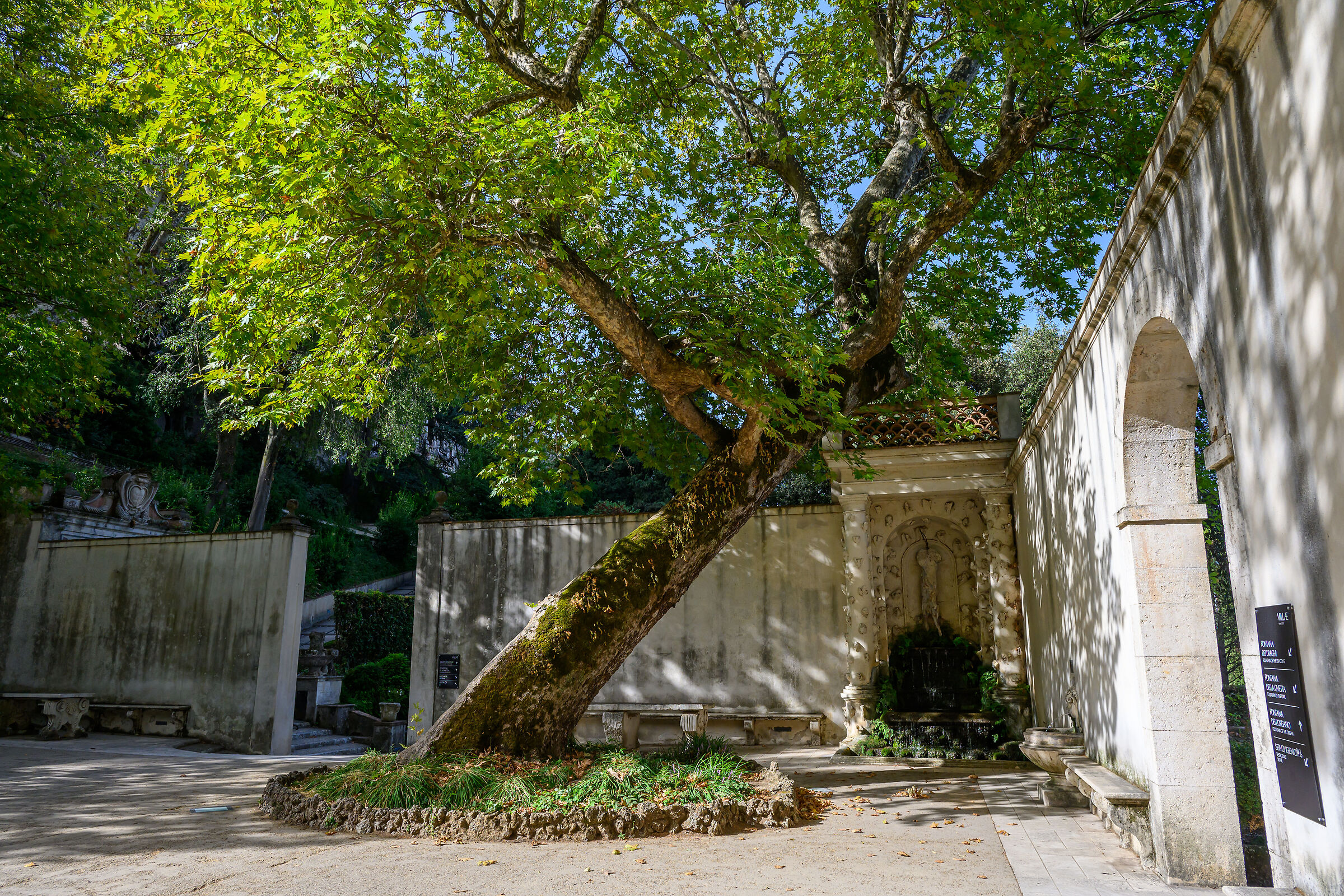 Tivoli - Villa d'Este