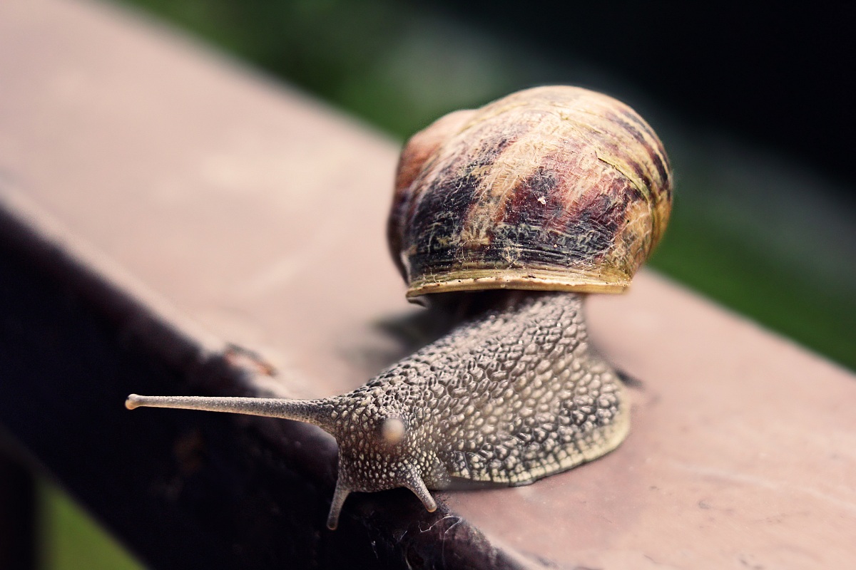 Ma dove mi trovo??!!