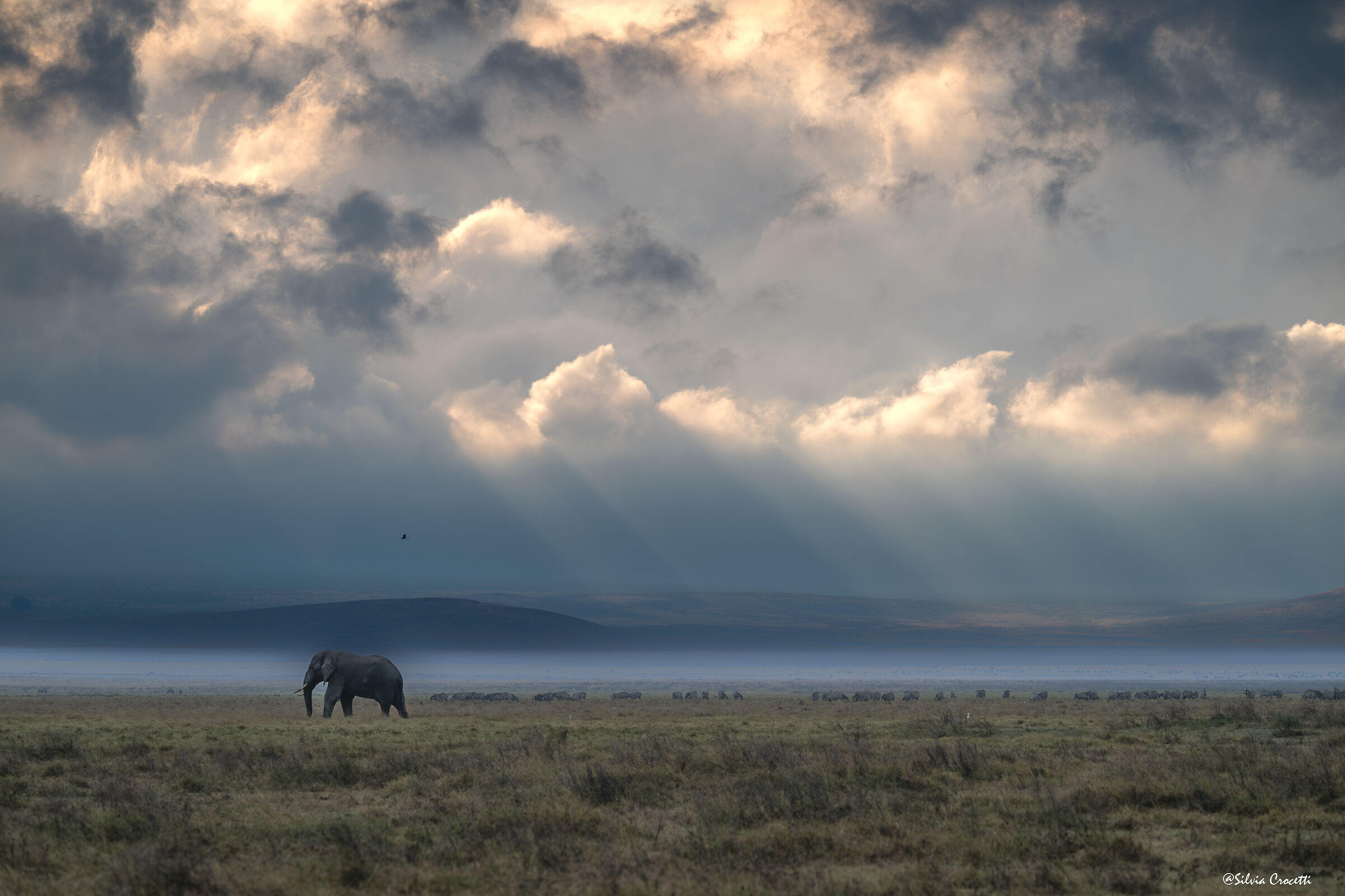 African landscapes