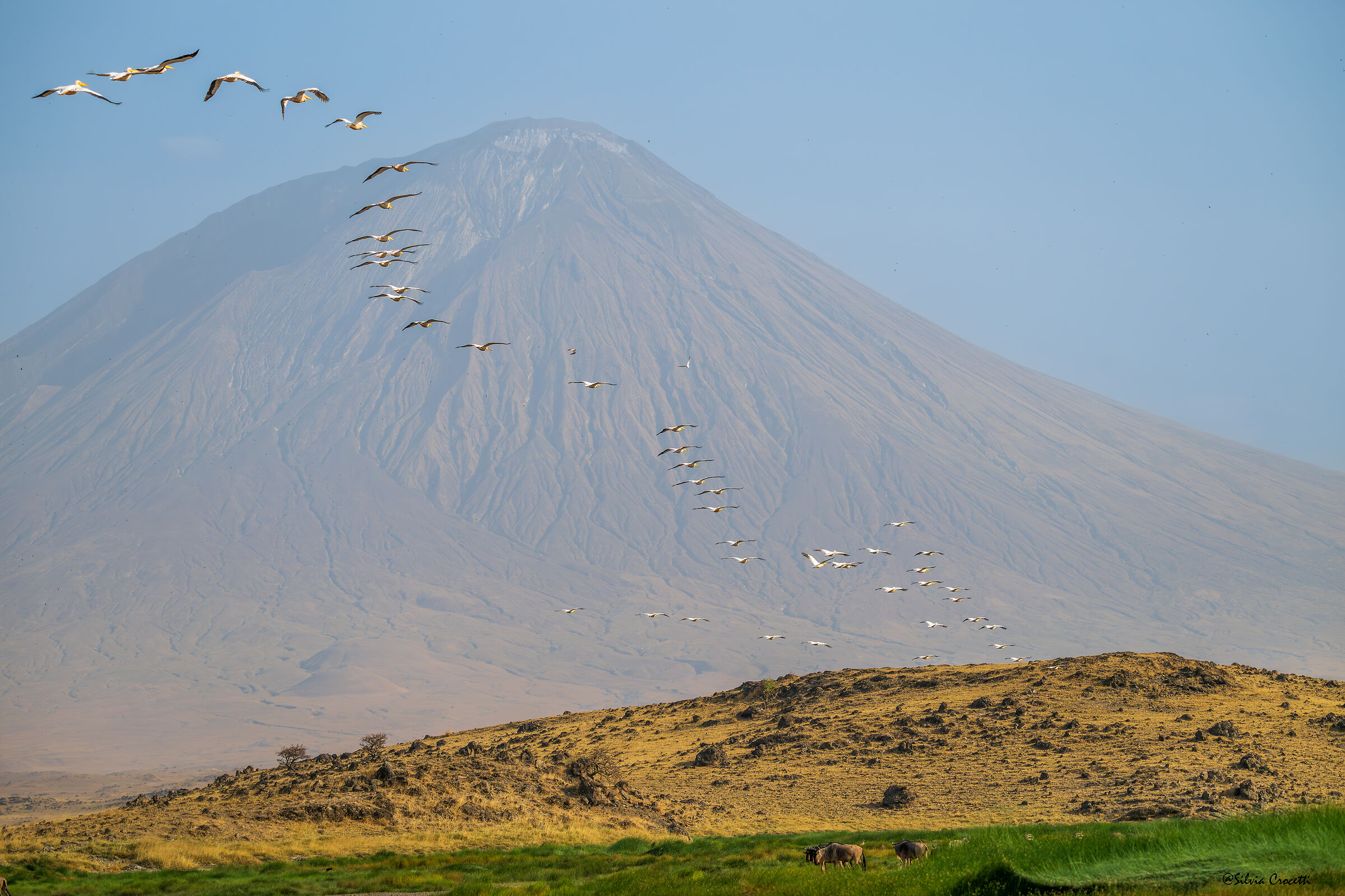 African landscape