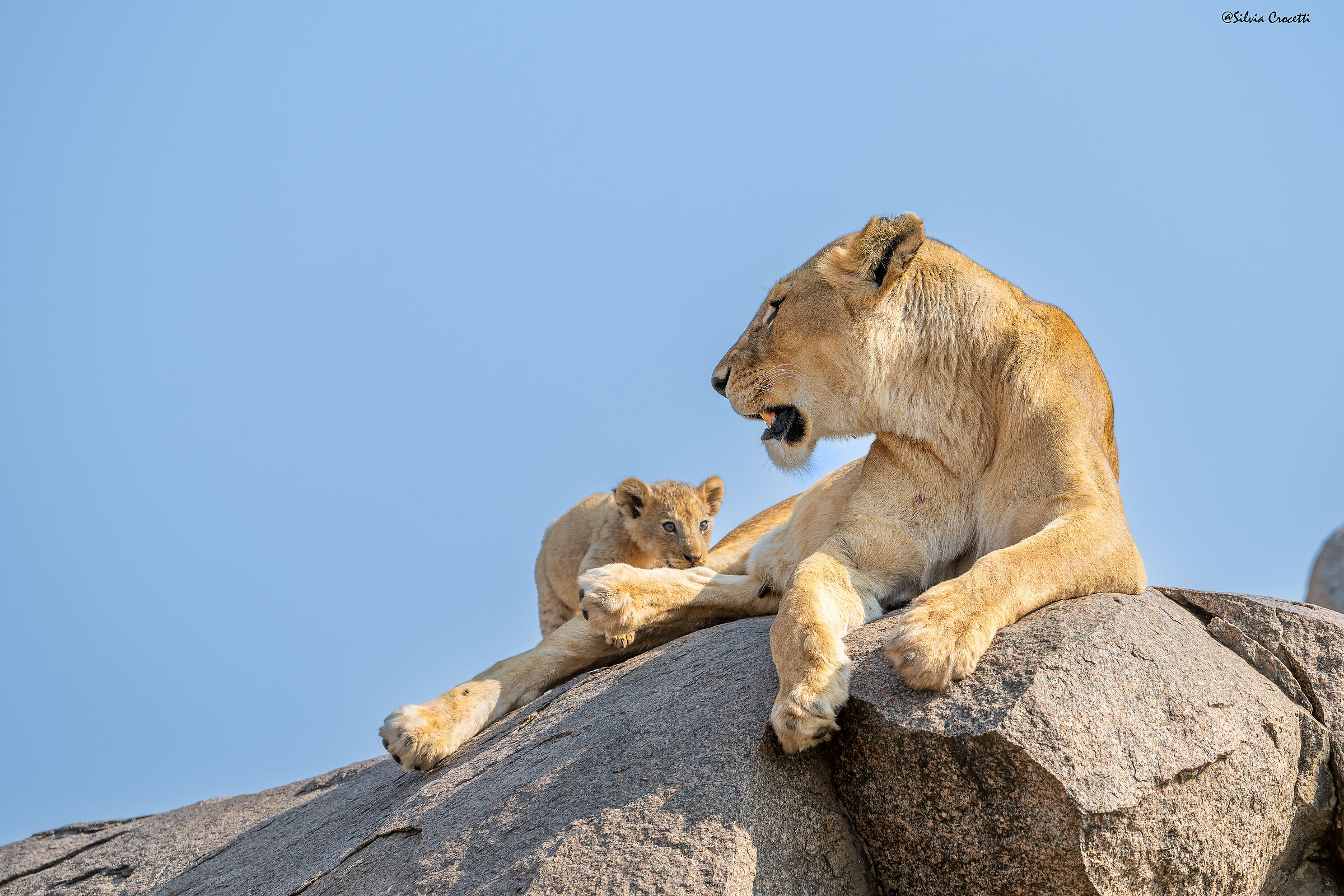 Tender moment