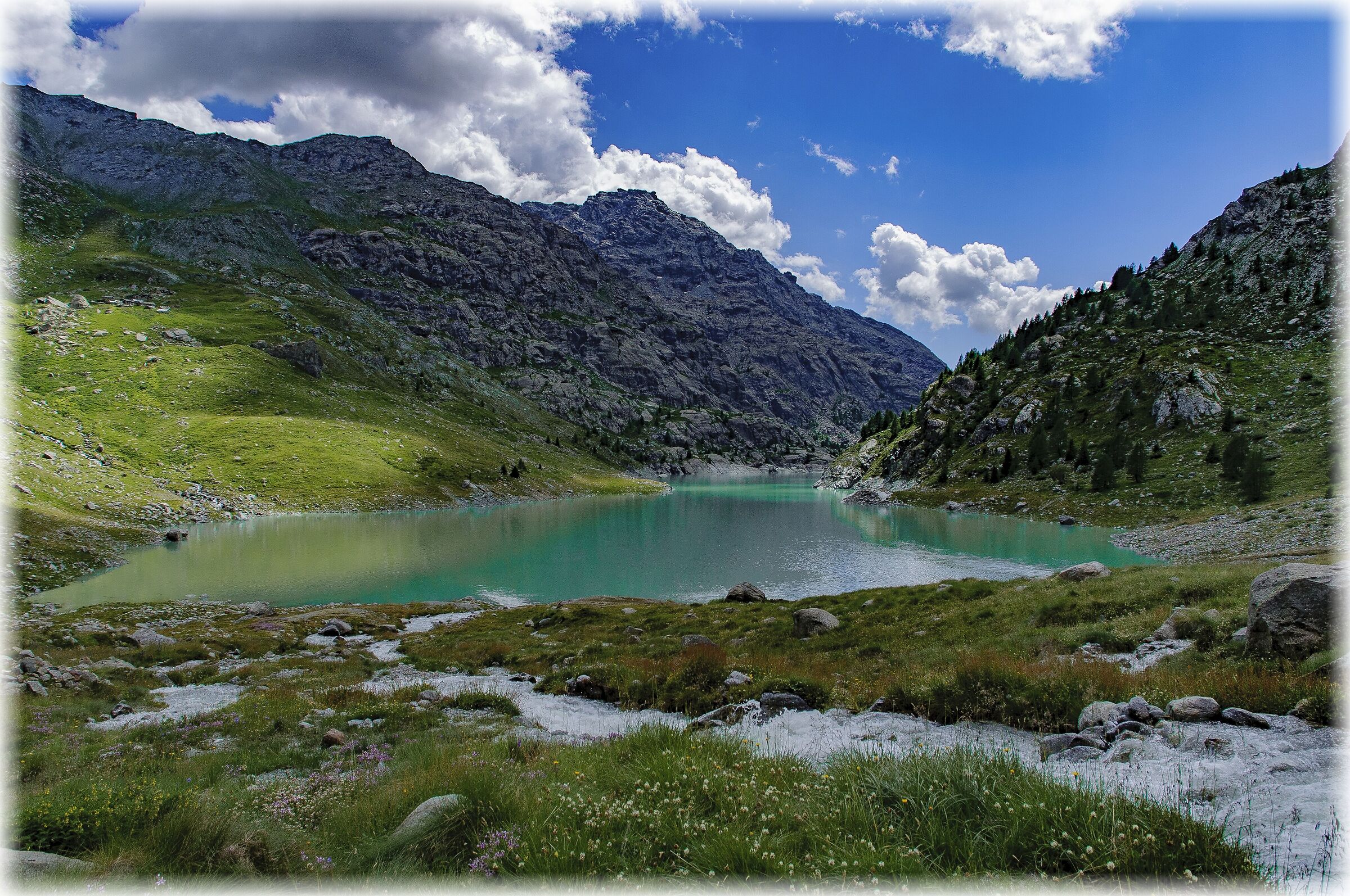 Alpe Gera
