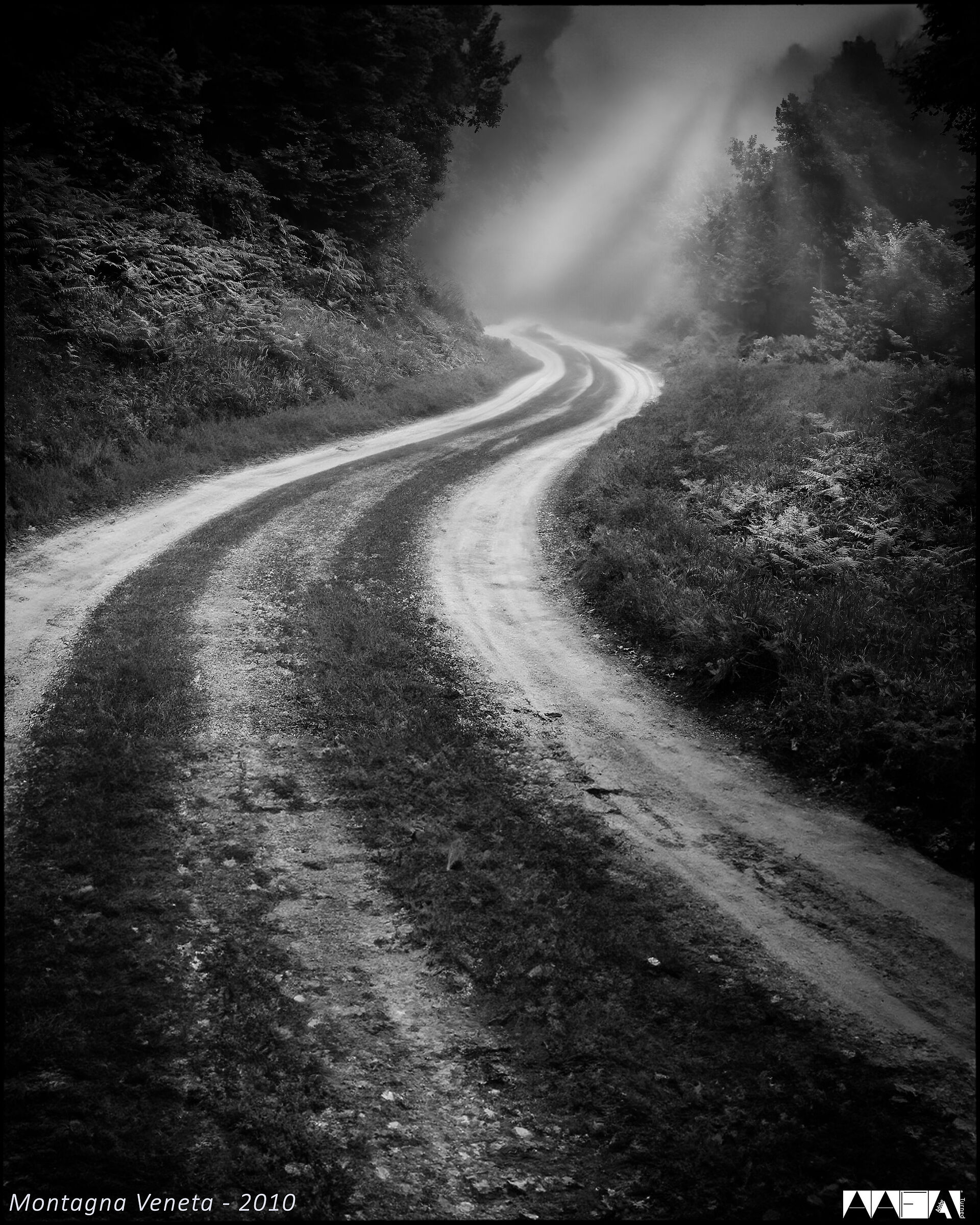 Montagna Veneta -2010