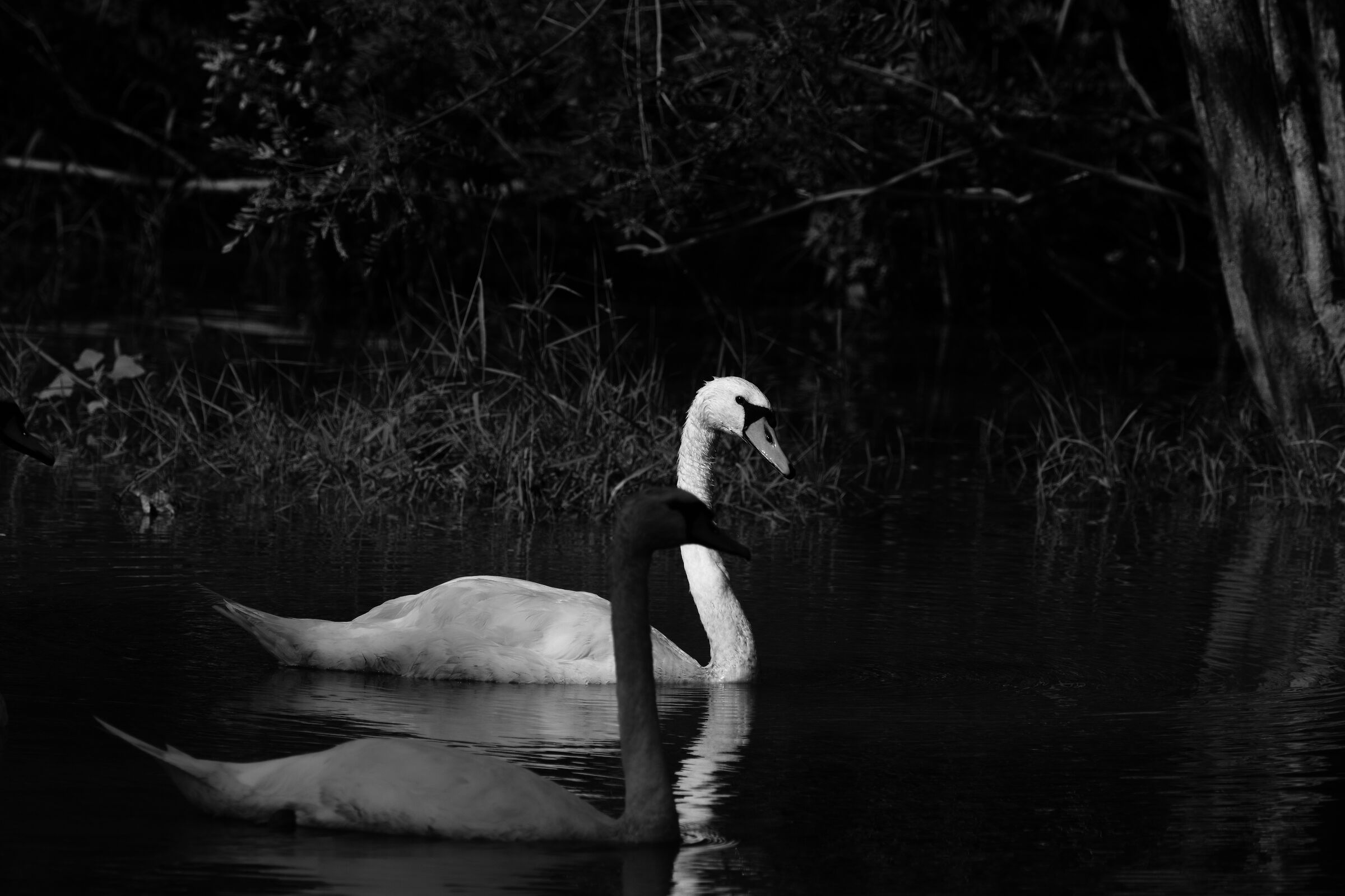 The sun kisses whoever it wants