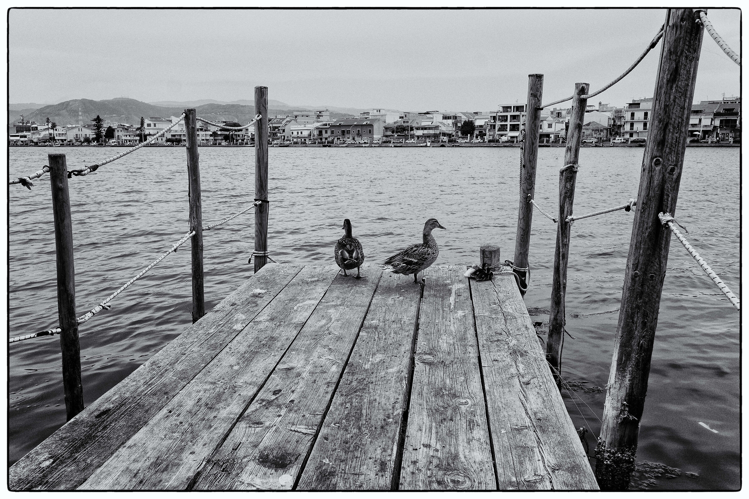 Untitled Photo