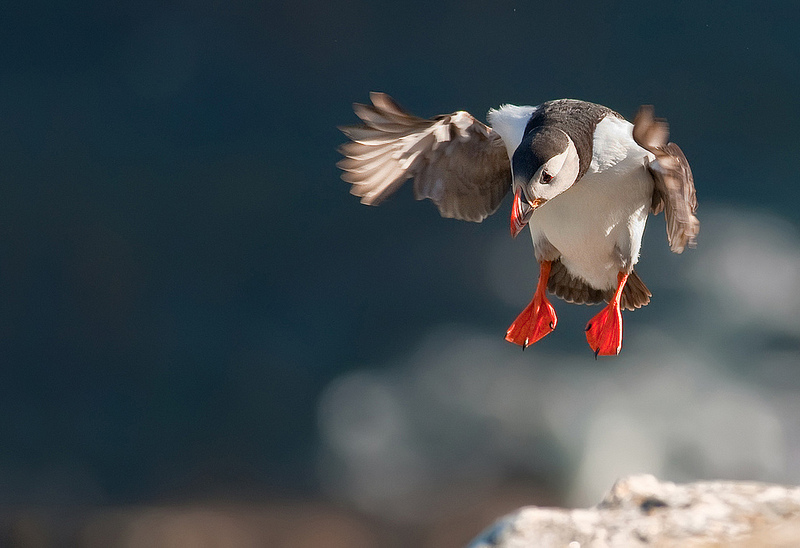 arrivoooooooooooooooo