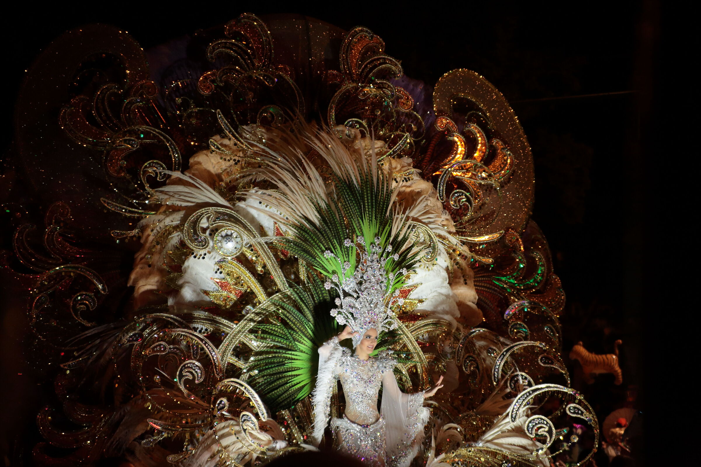 Santa Cruz de tenerife carnival