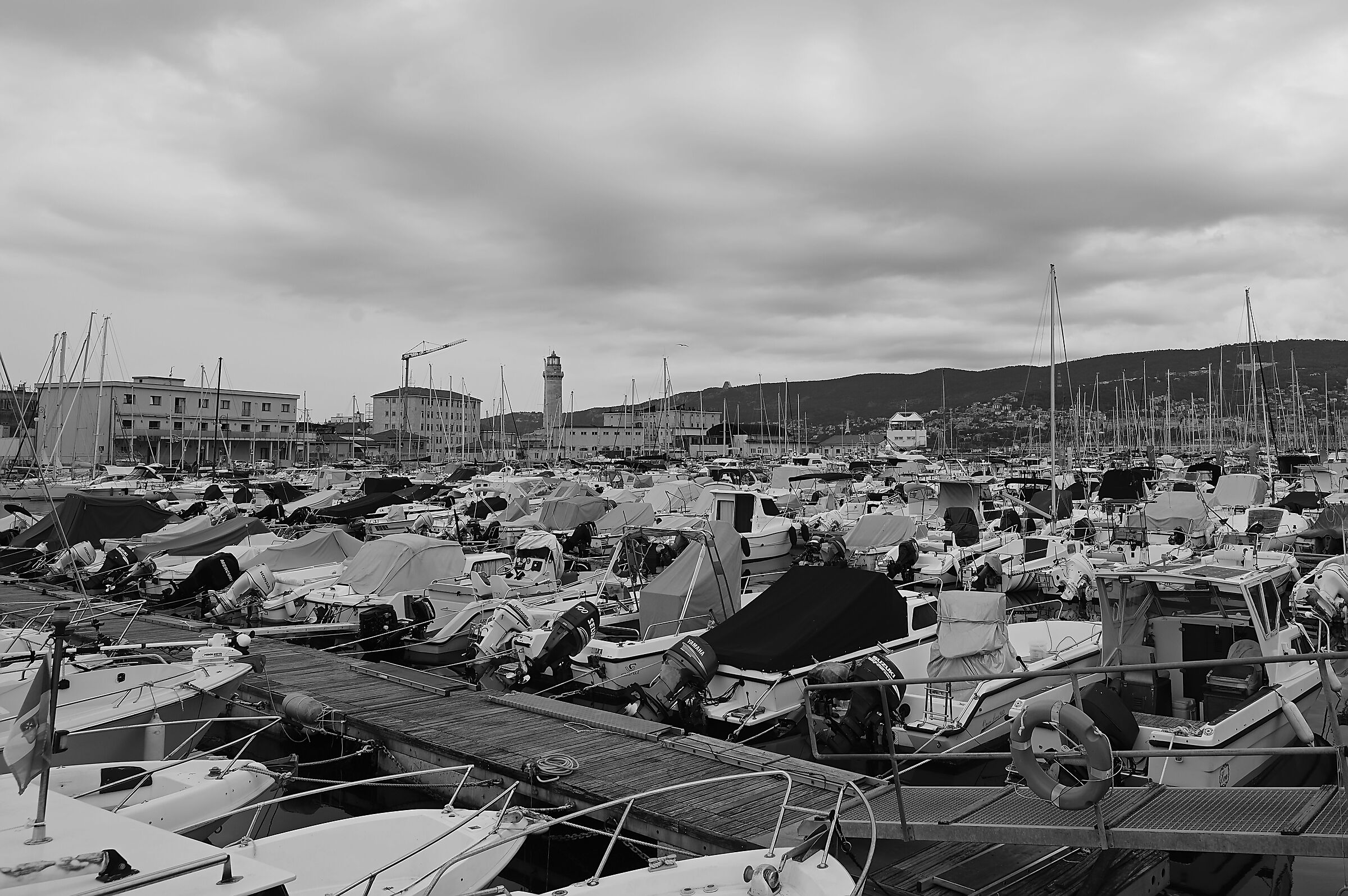 Trieste