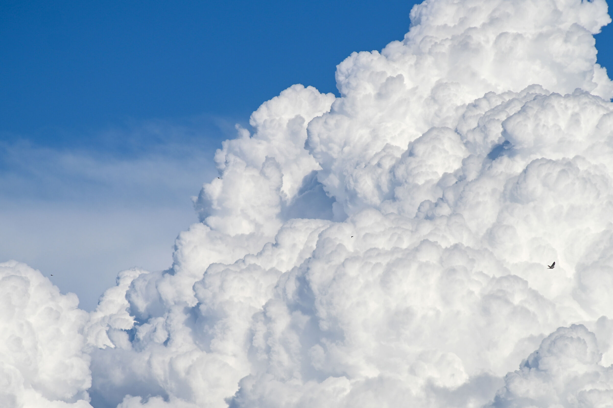 Cumulonembo 2 - La Settimana Enigmistica