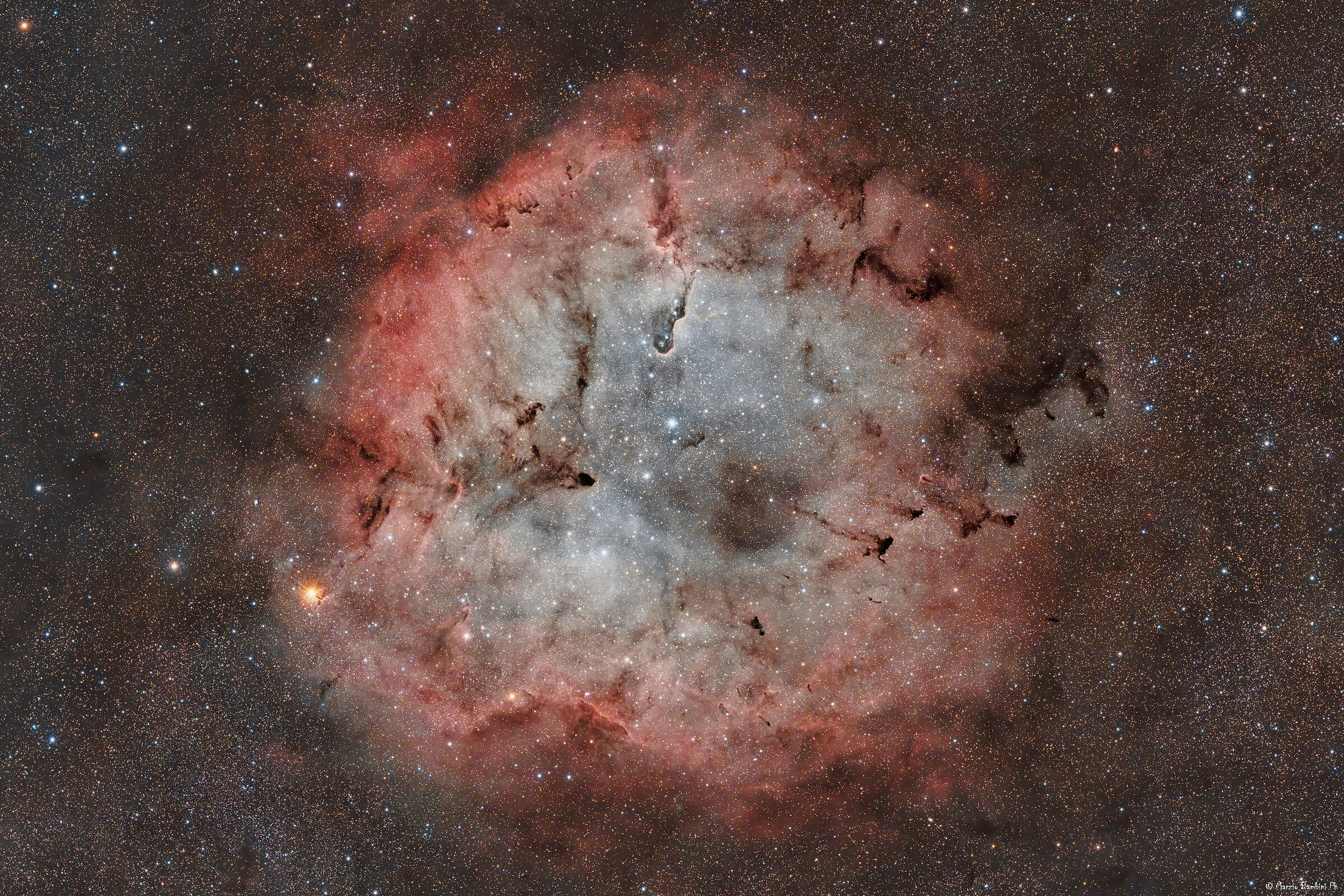 IC1396 Elephant's Trunk Nebula