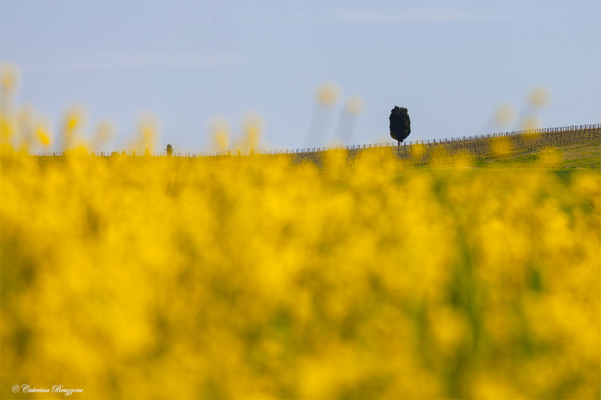 Impressionism in the Val d'Orcia