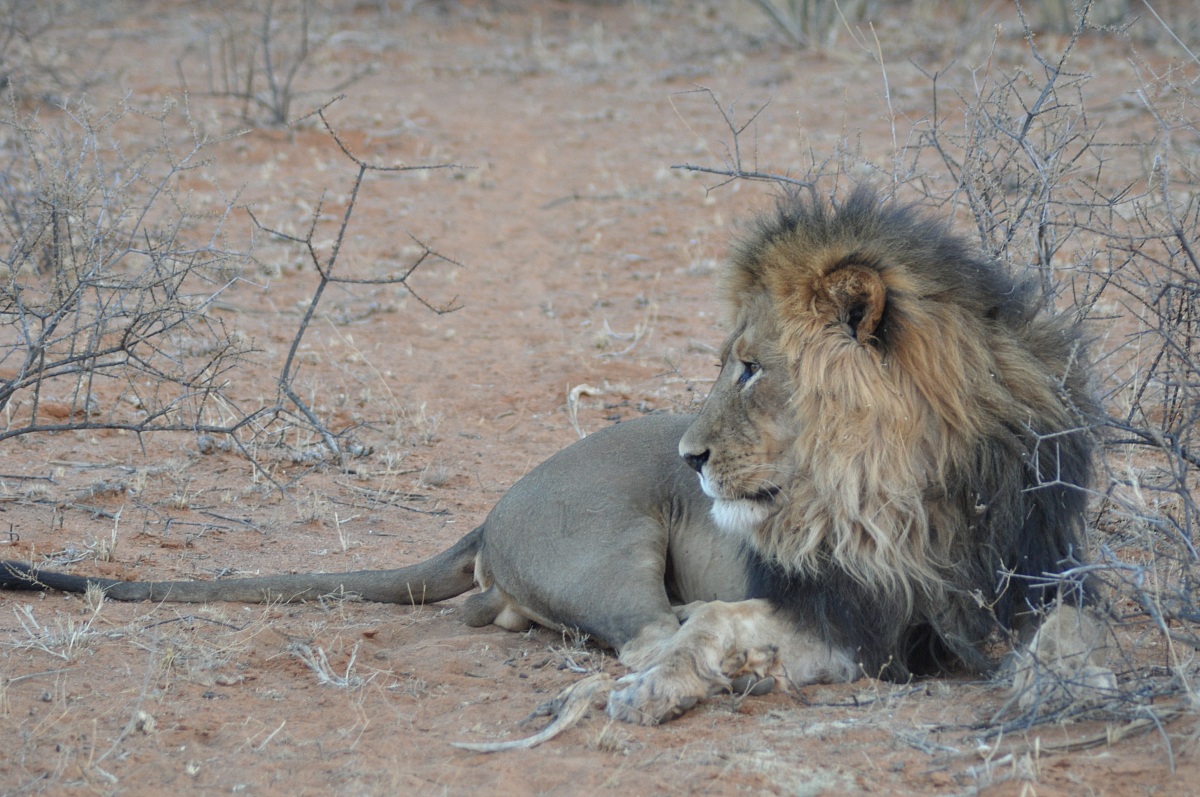 Il riposo del guerriero