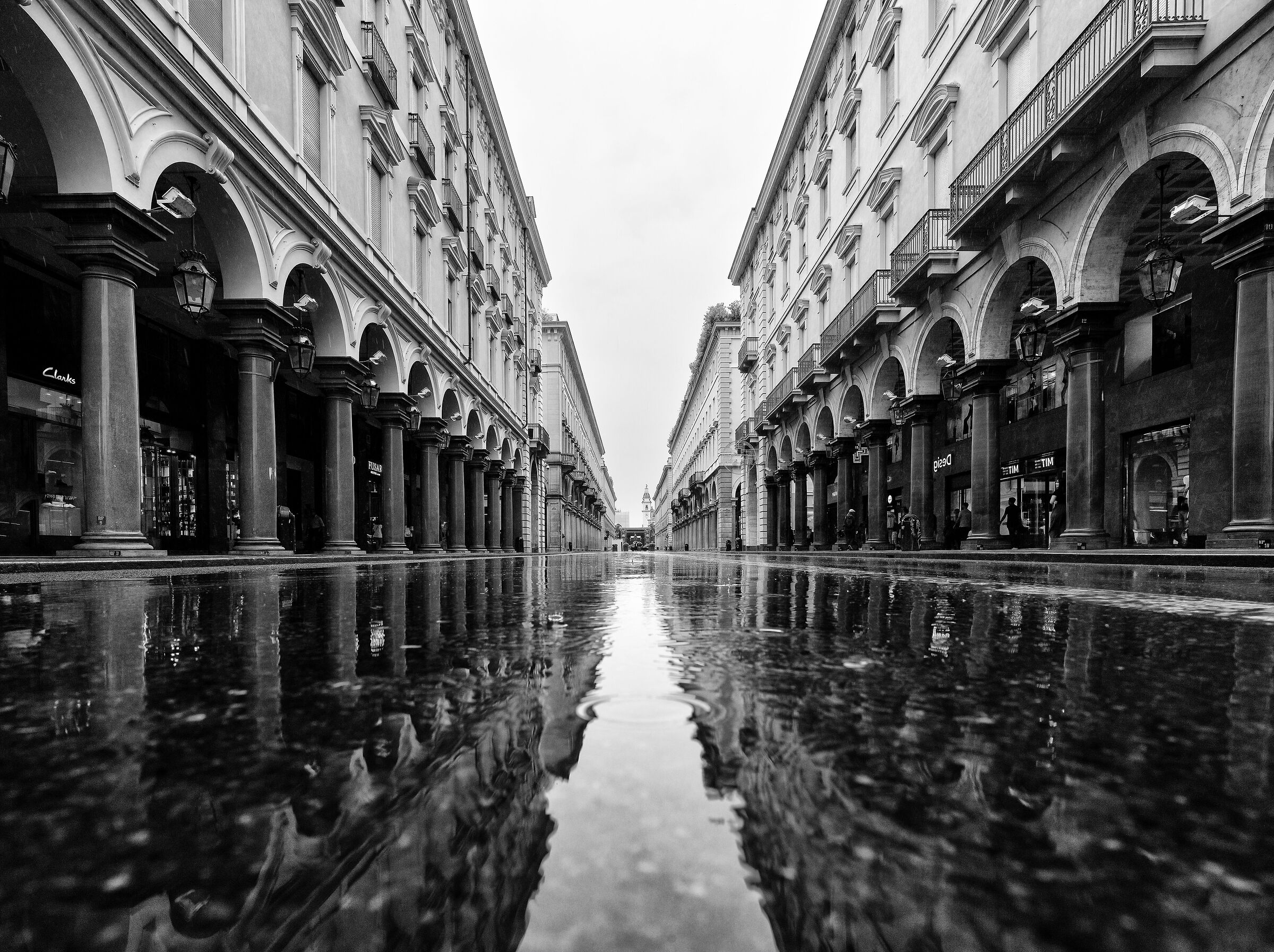 Torino Monochrome