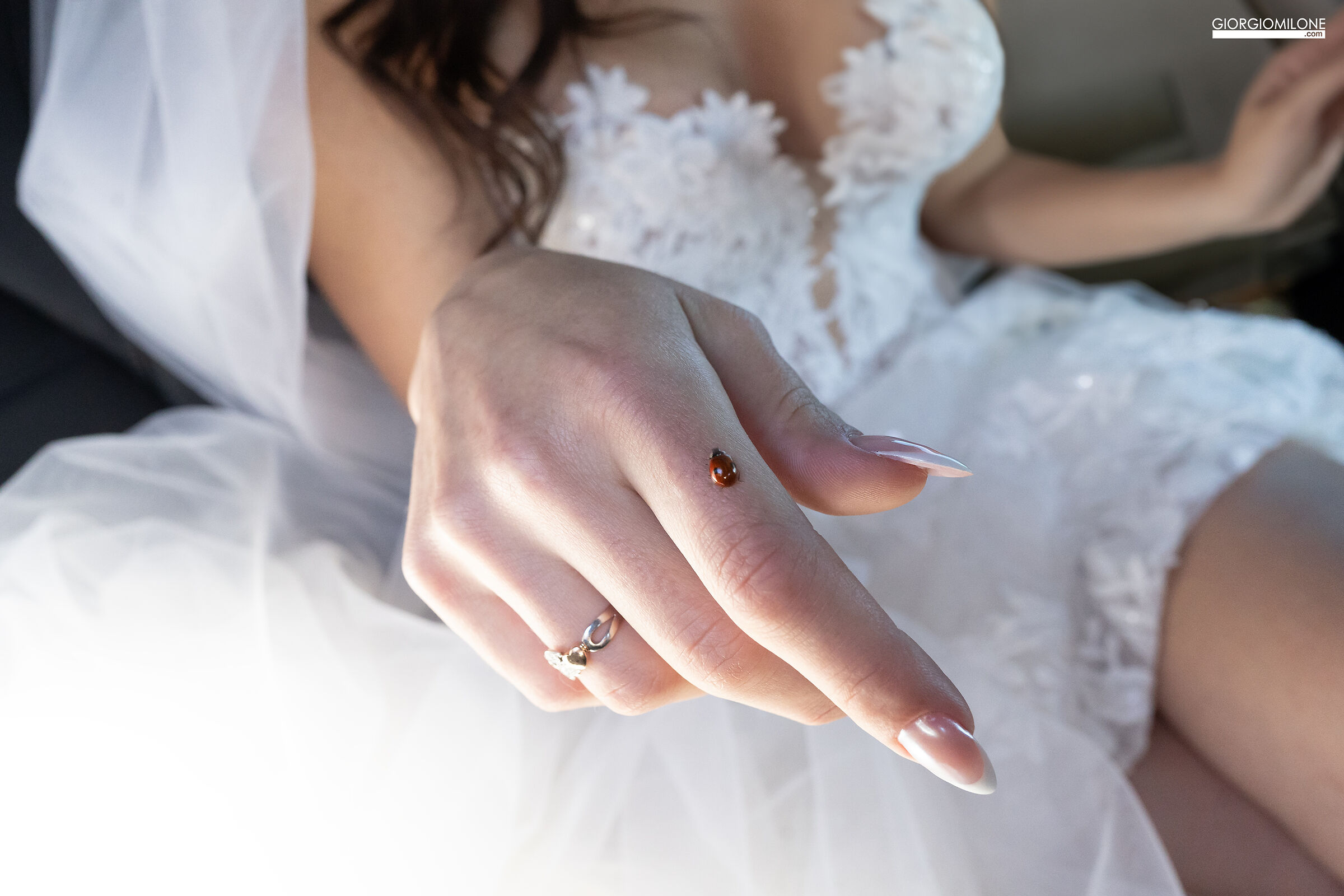 Lucky the bride or groom?