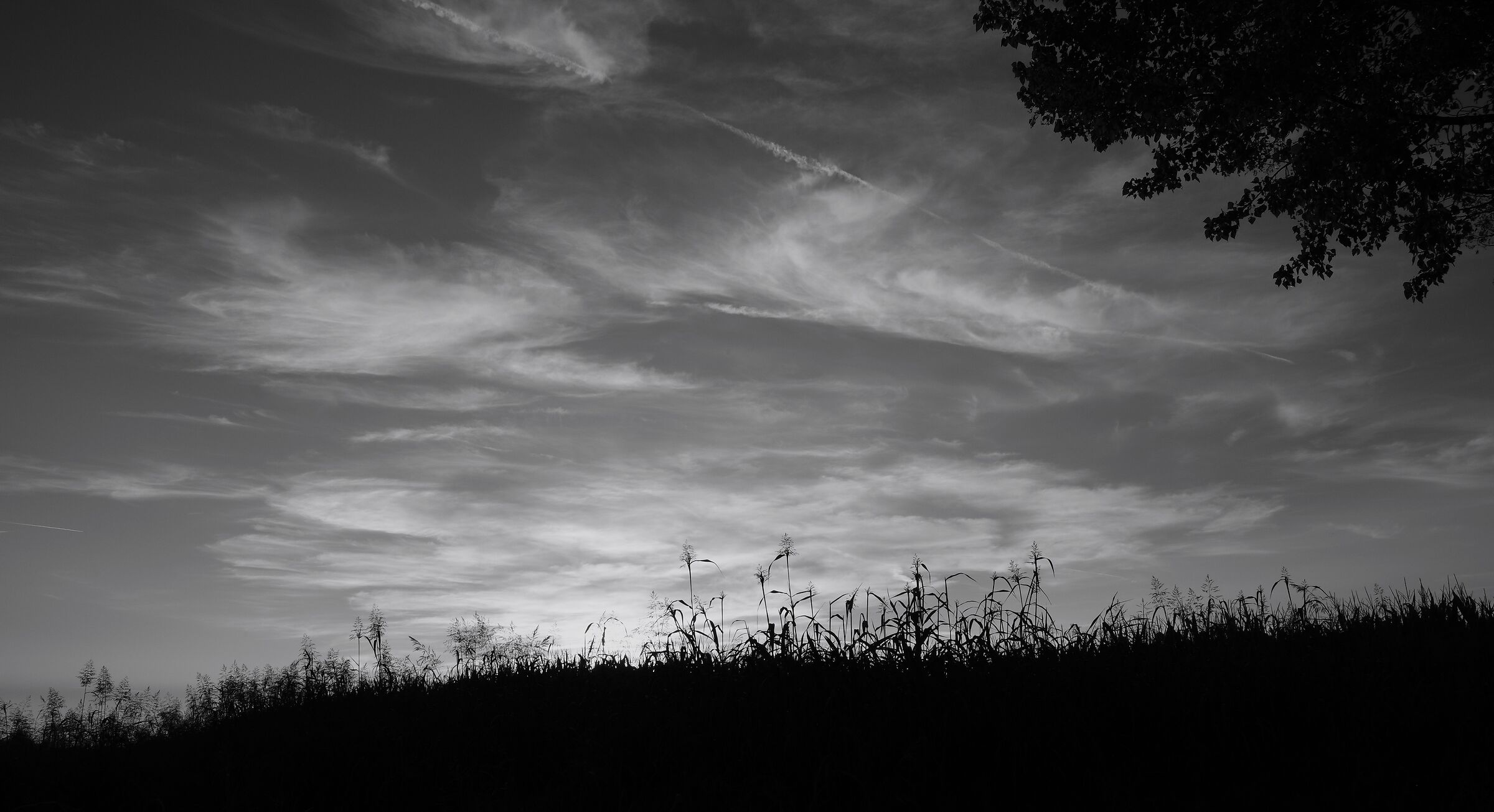 Verso il tramonto