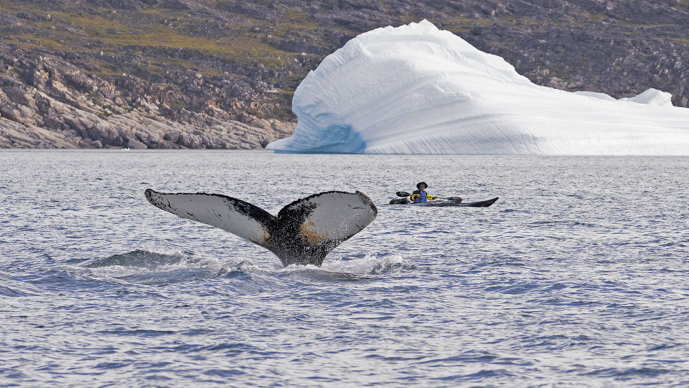 Passione, coraggio, fortuna