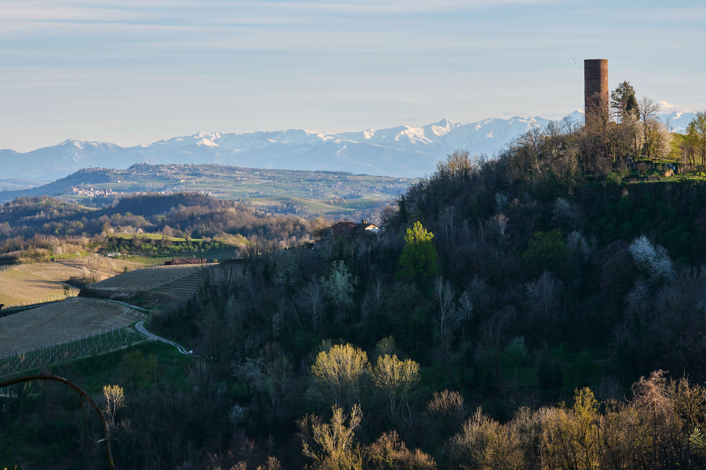 Torre di Montaldo Roero