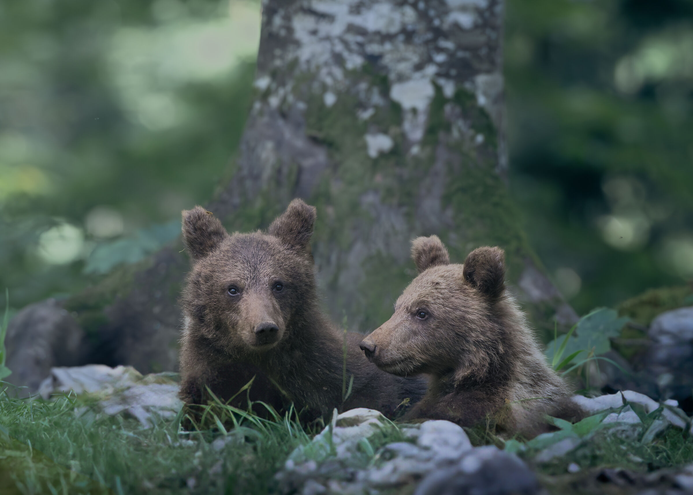 A moment of pause between one game and another
