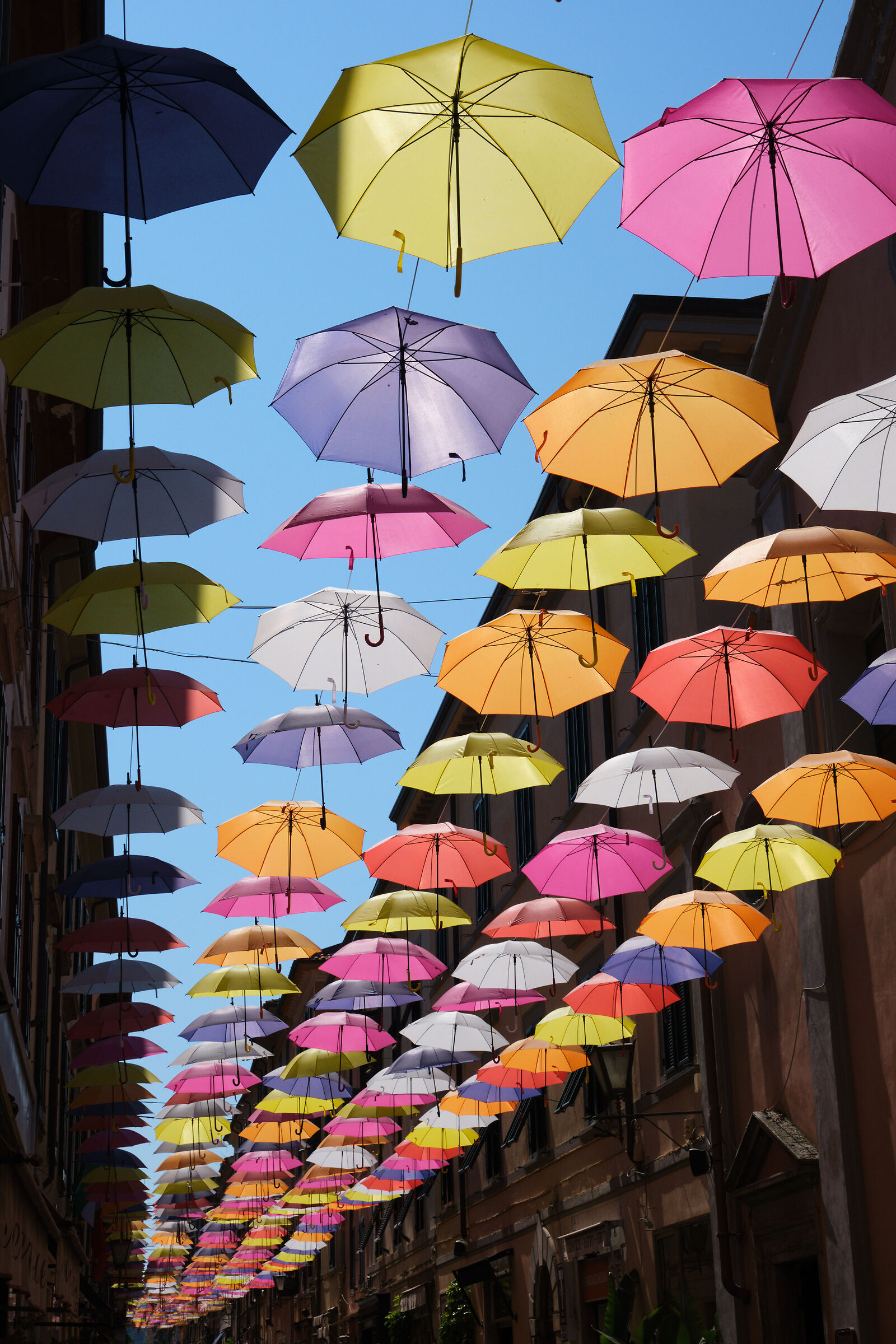Ombrelli a Marina di Pietra Santa 1