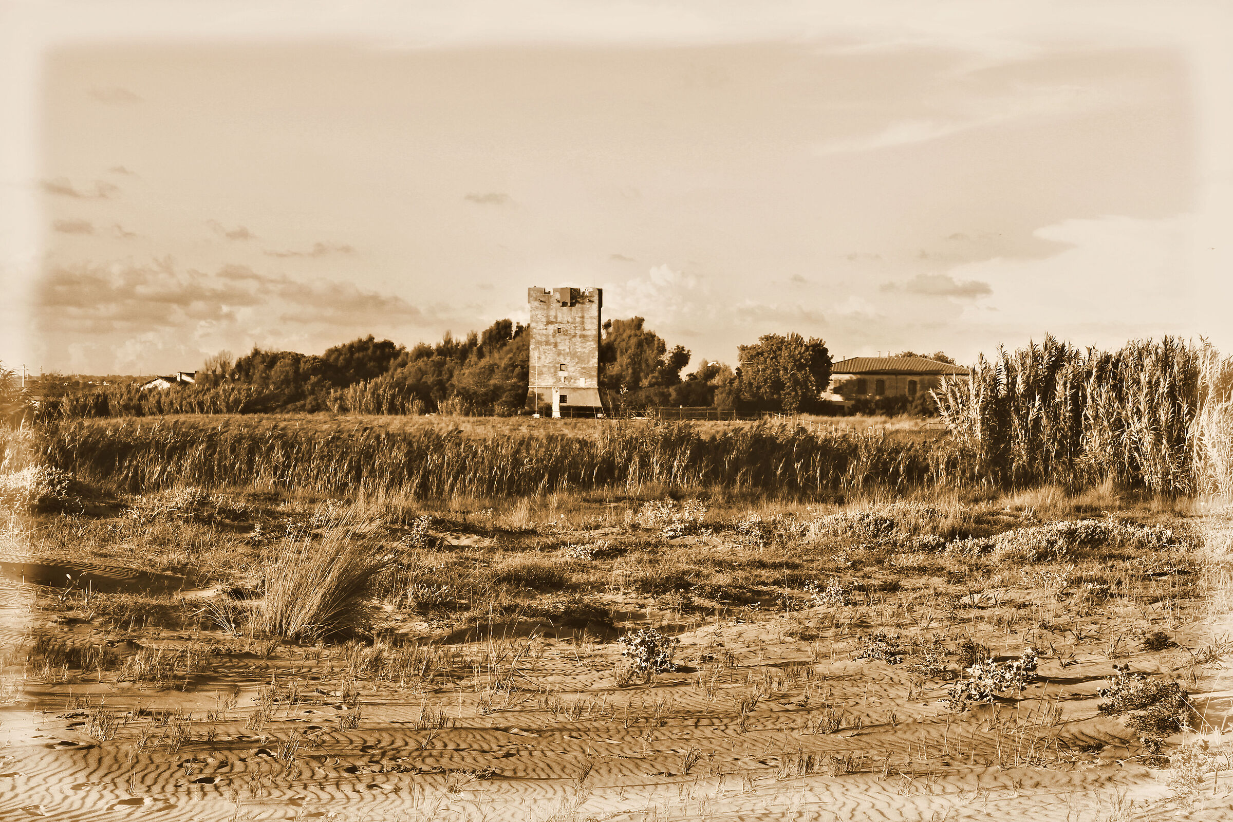 The Tower of Palidoro