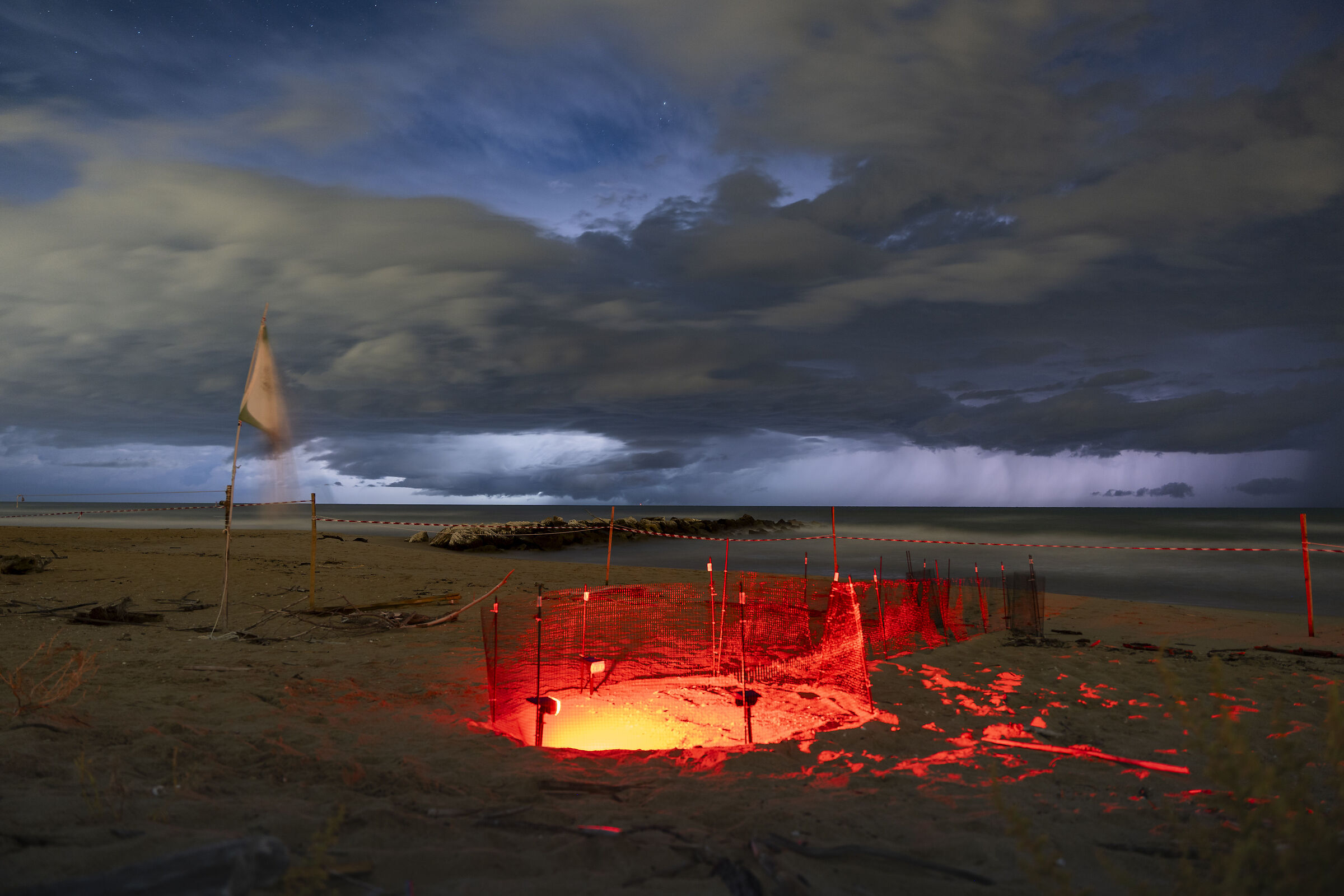 A crackling turtle nest