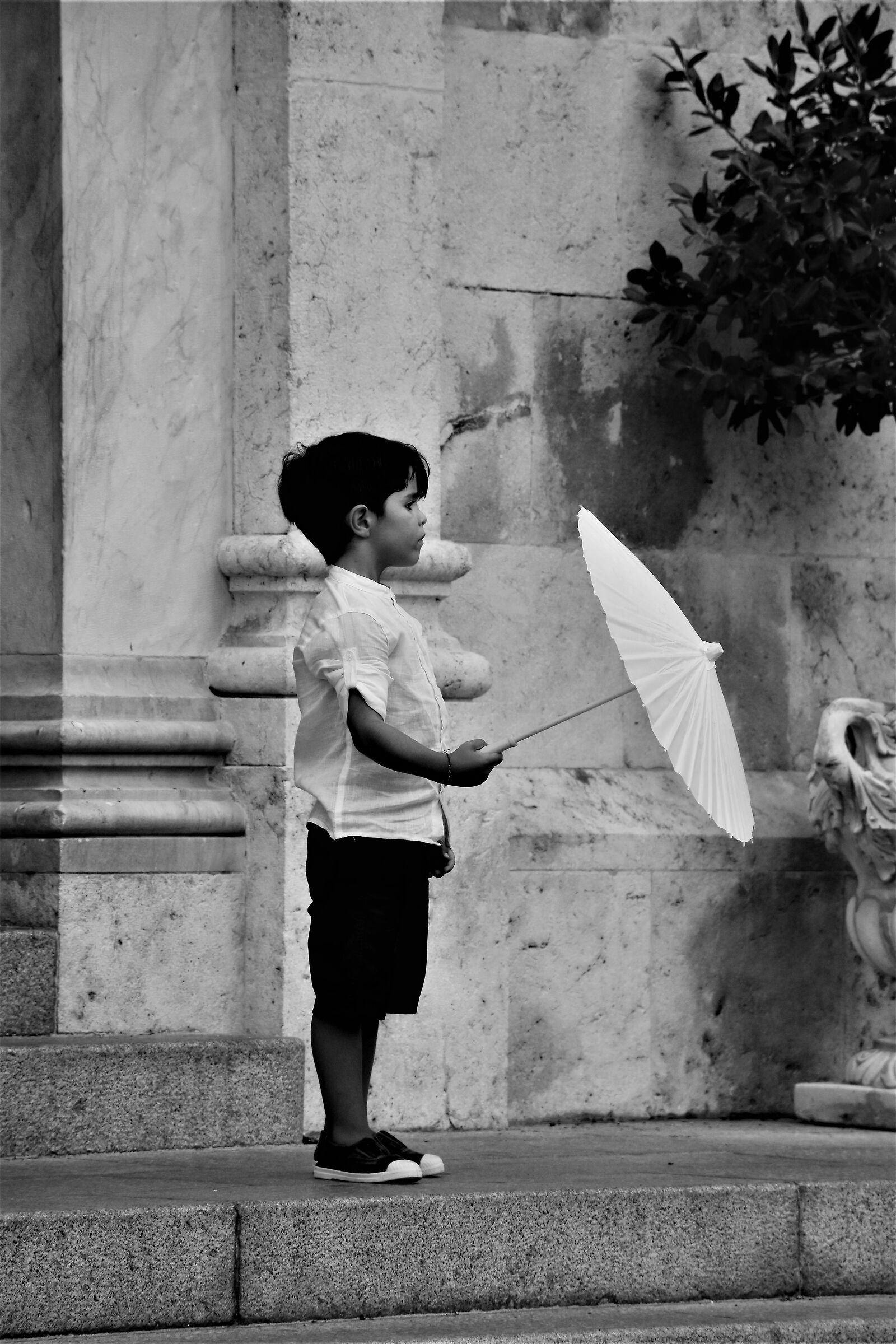 The child who carries his wedding rings beyond the umbrella